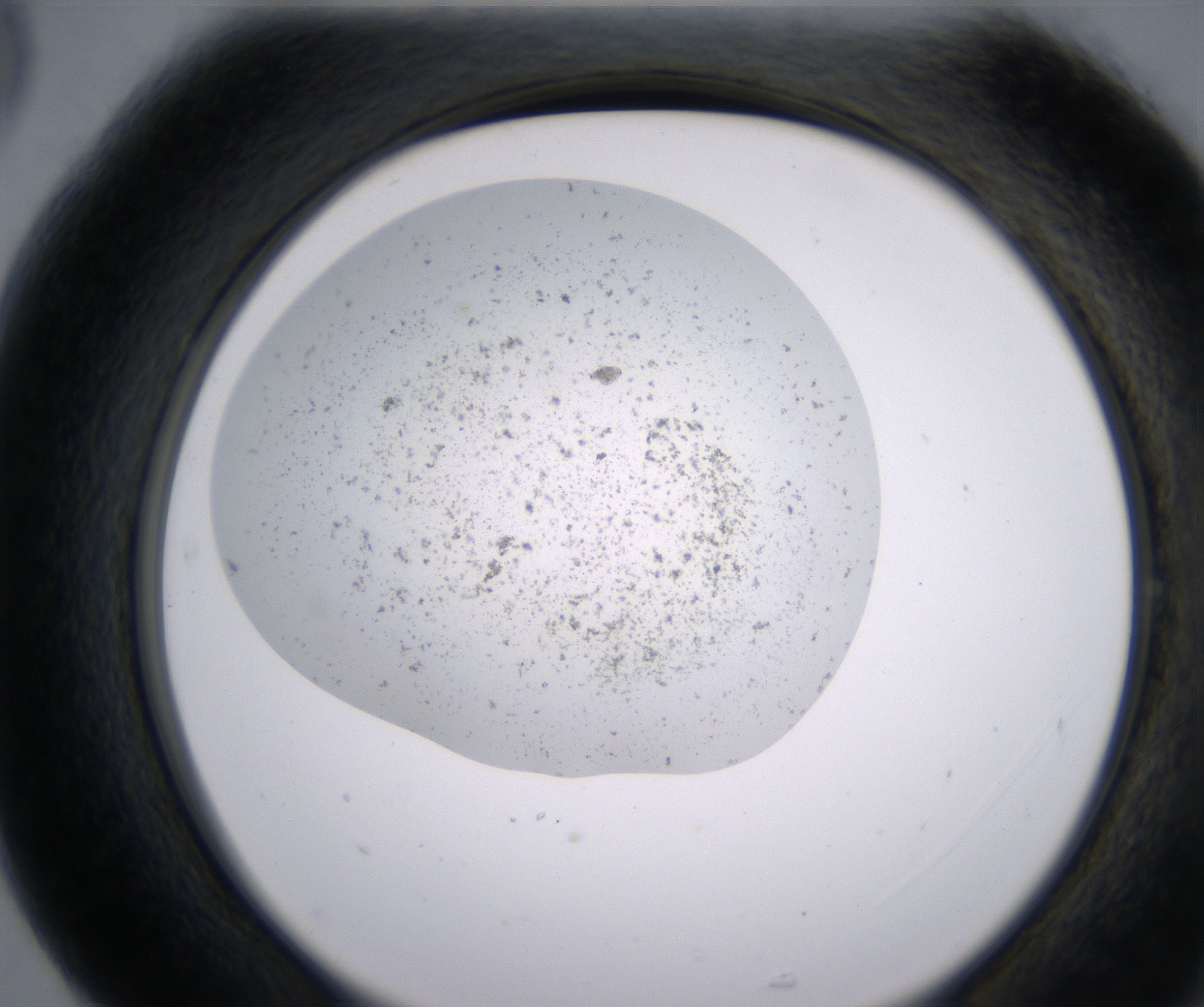 G5_HighResolution_Precipitate_2.jpg