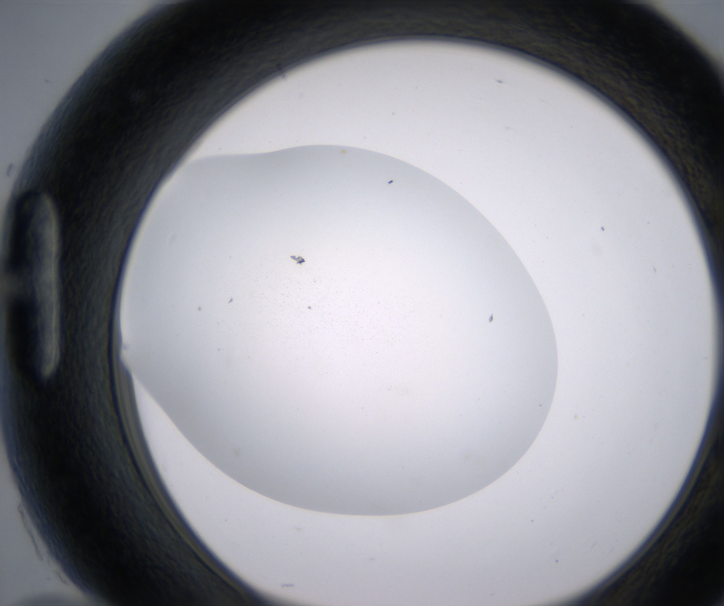 H10_HighResolution_Precipitate_1.jpg