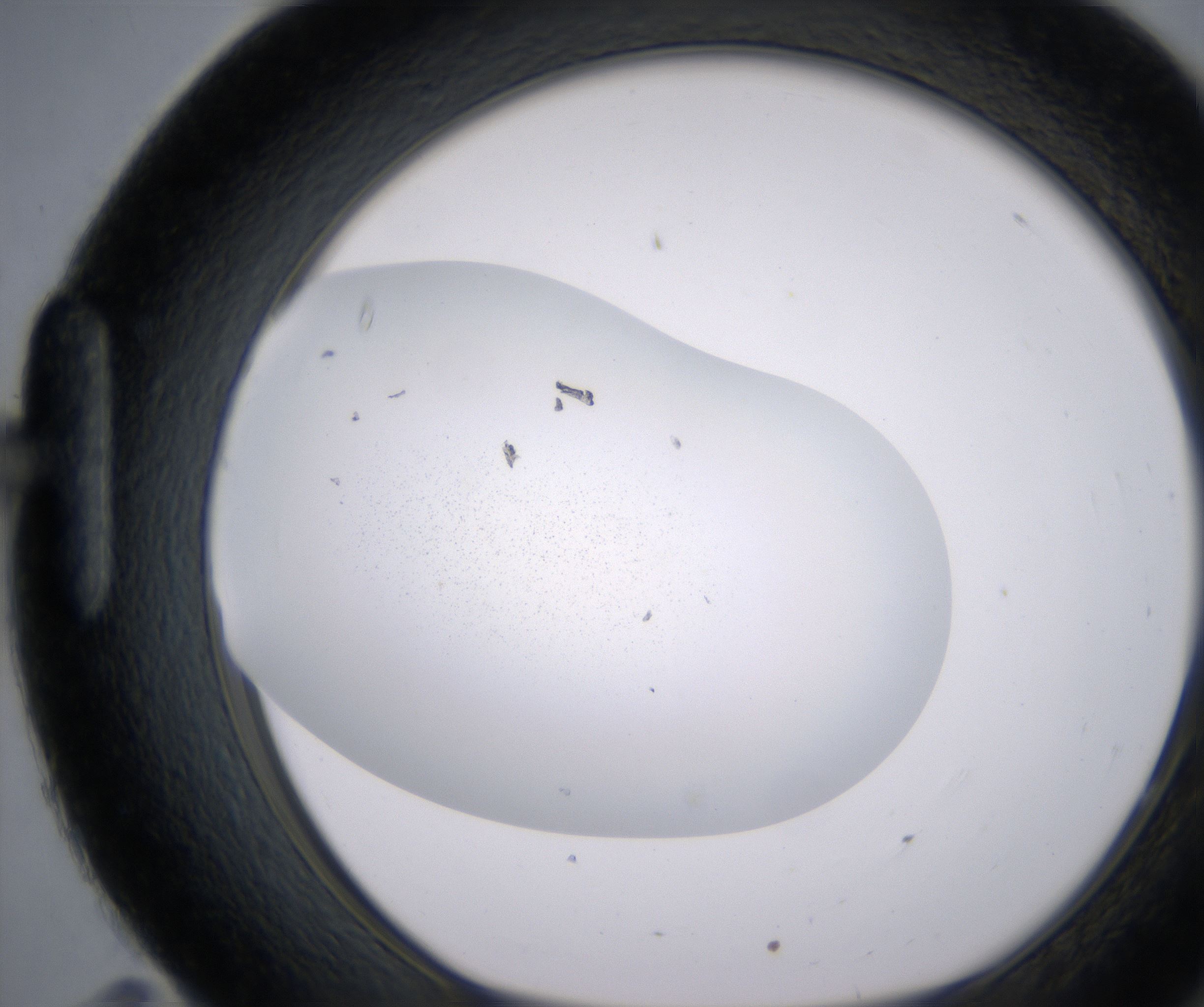 H11_HighResolution_Precipitate_1.jpg