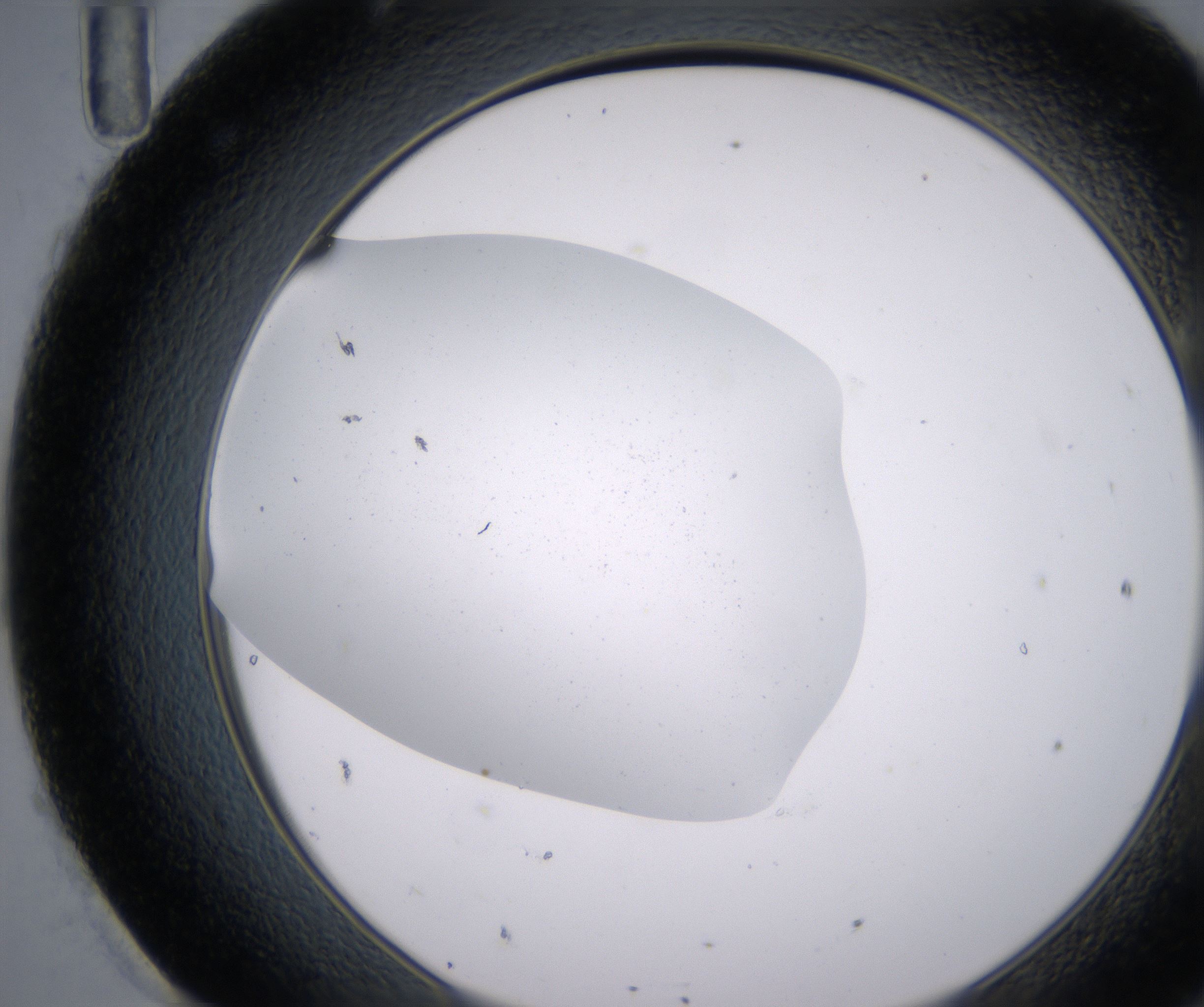 H11_HighResolution_Precipitate_2.jpg