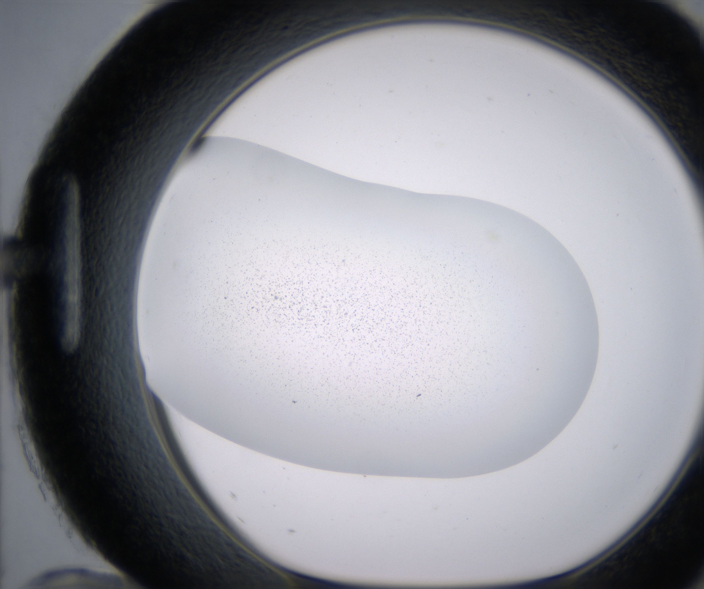 H12_HighResolution_Precipitate_1.jpg