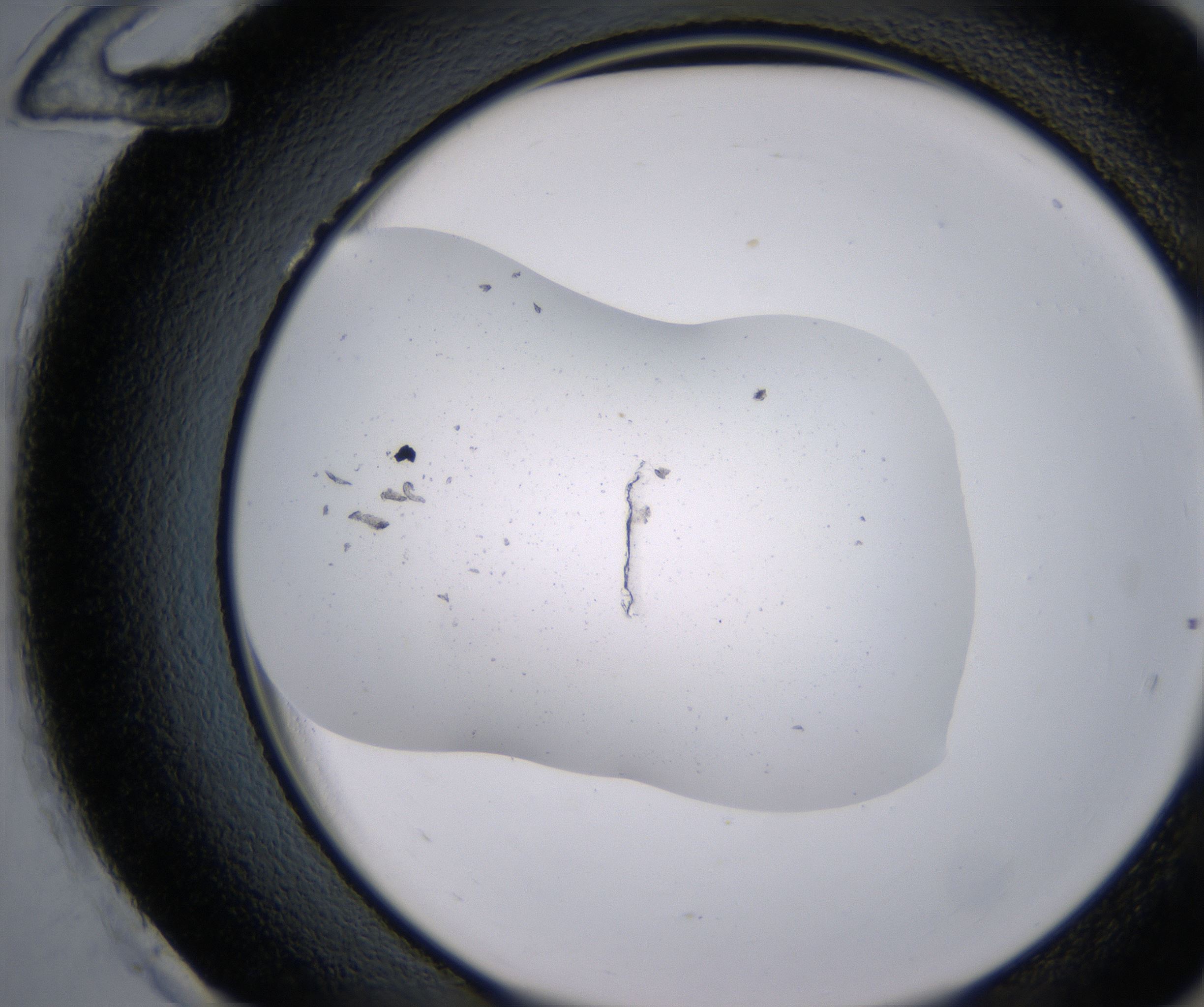 H12_HighResolution_Precipitate_2.jpg