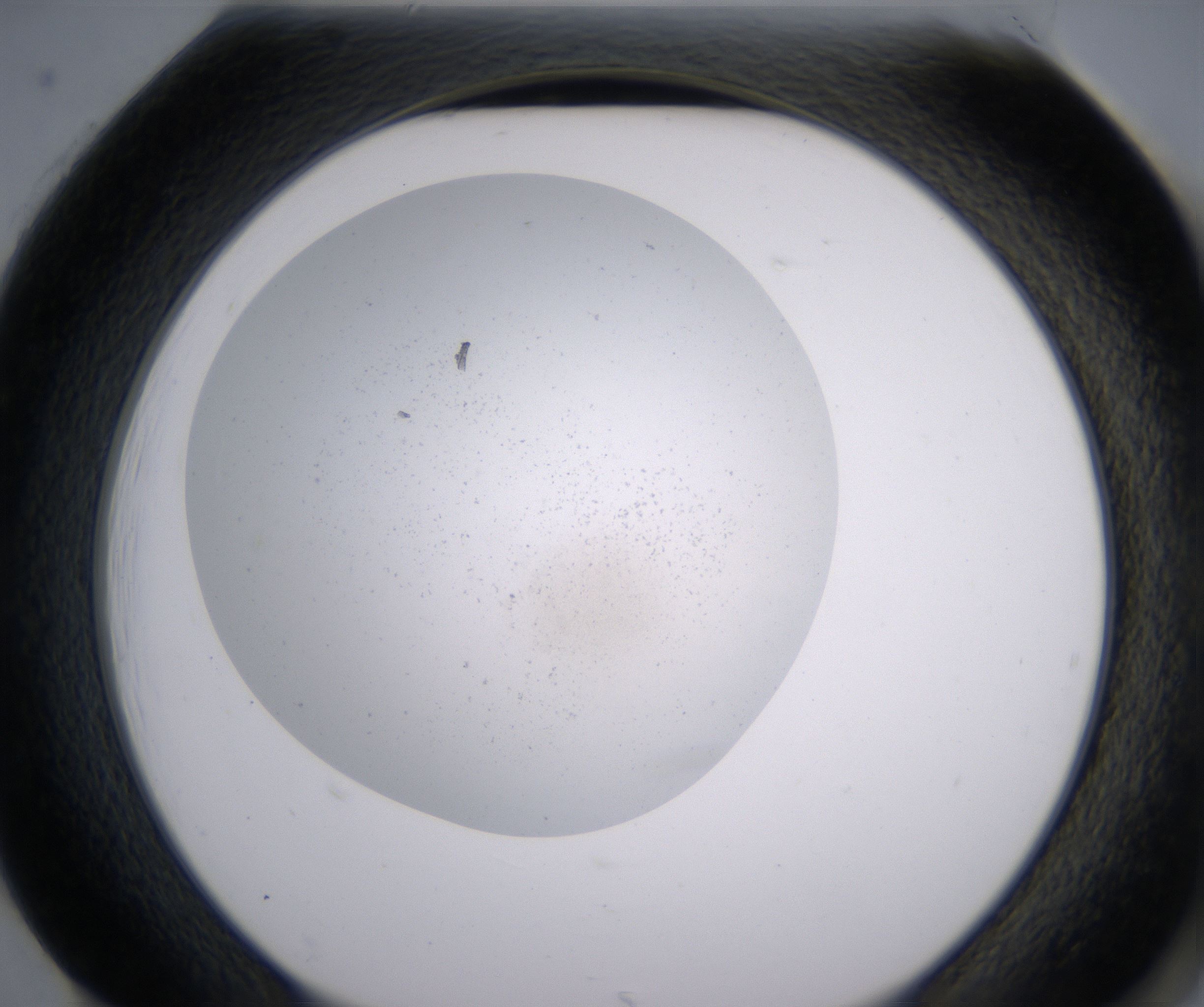 H1_HighResolution_Precipitate_2.jpg