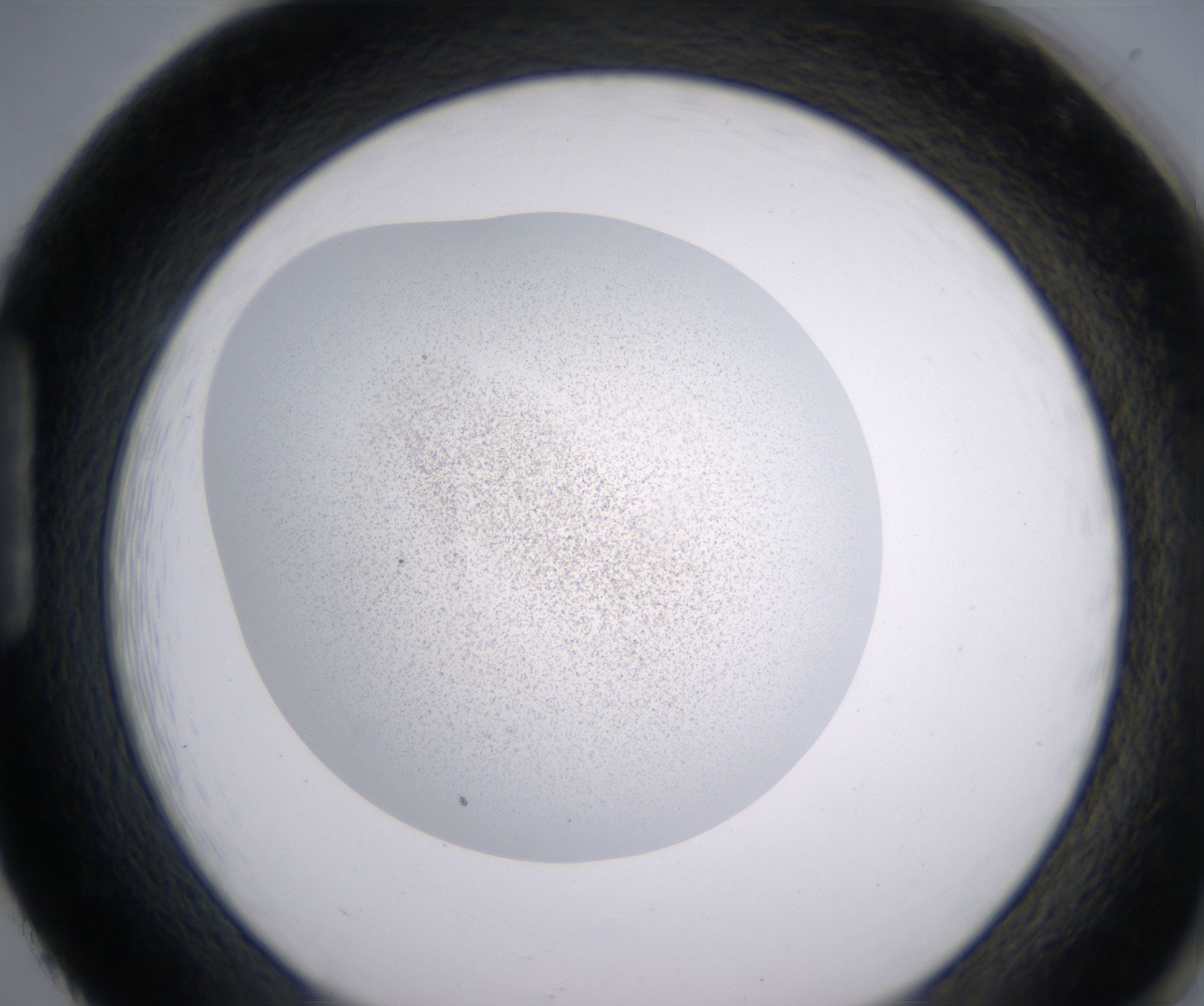 H2_HighResolution_Precipitate_1.jpg