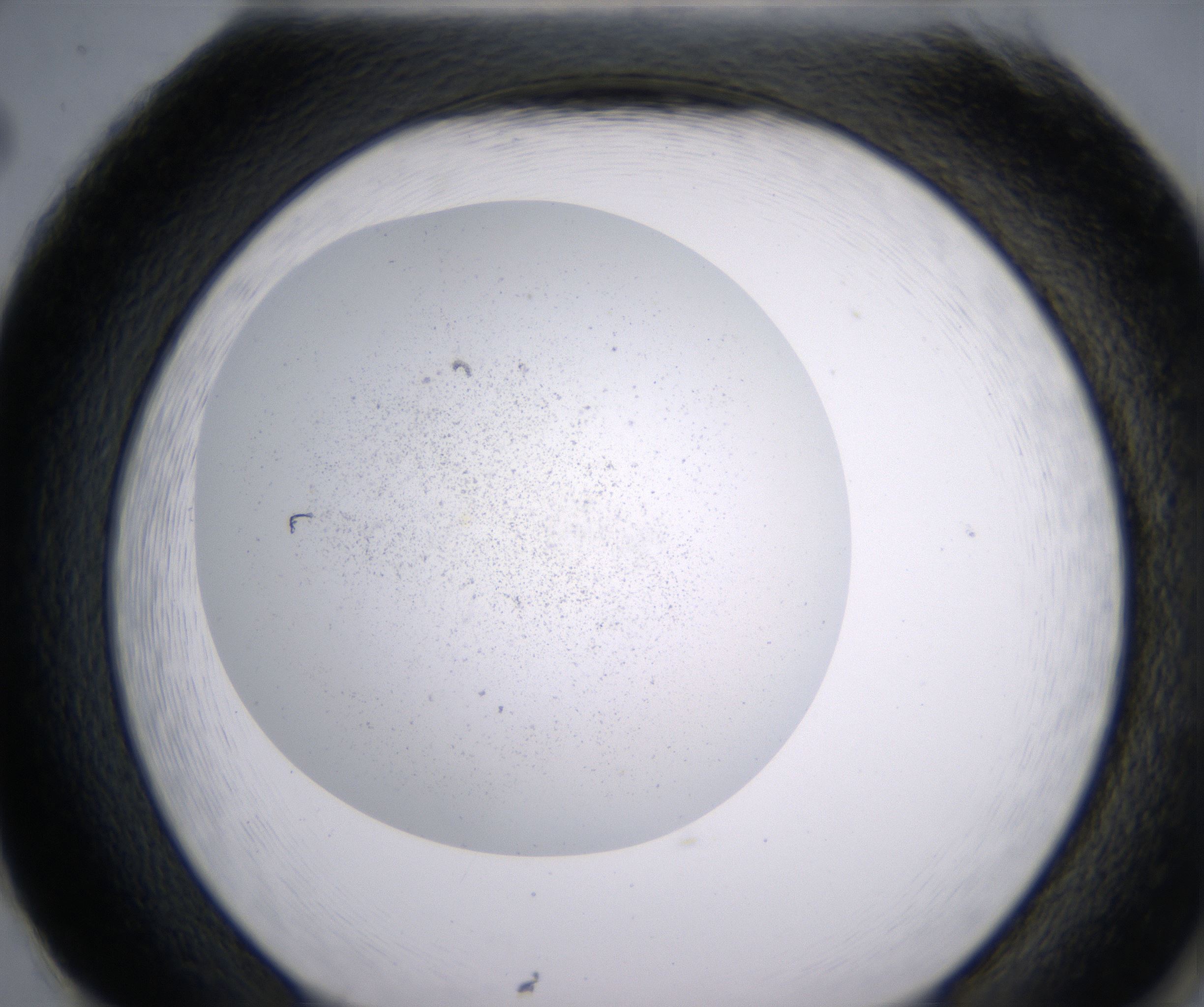 H2_HighResolution_Precipitate_2.jpg
