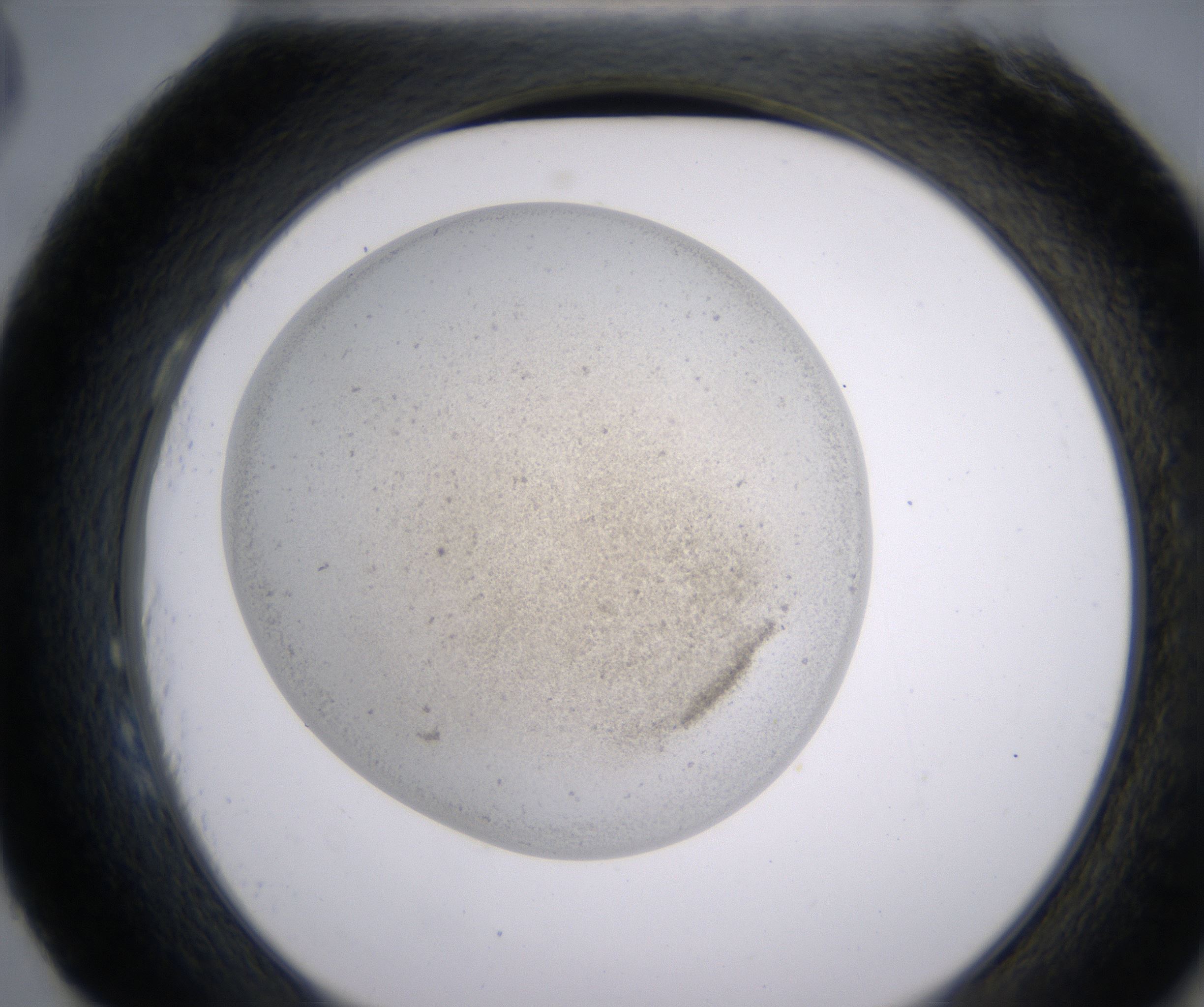 H3_HighResolution_Precipitate_2.jpg