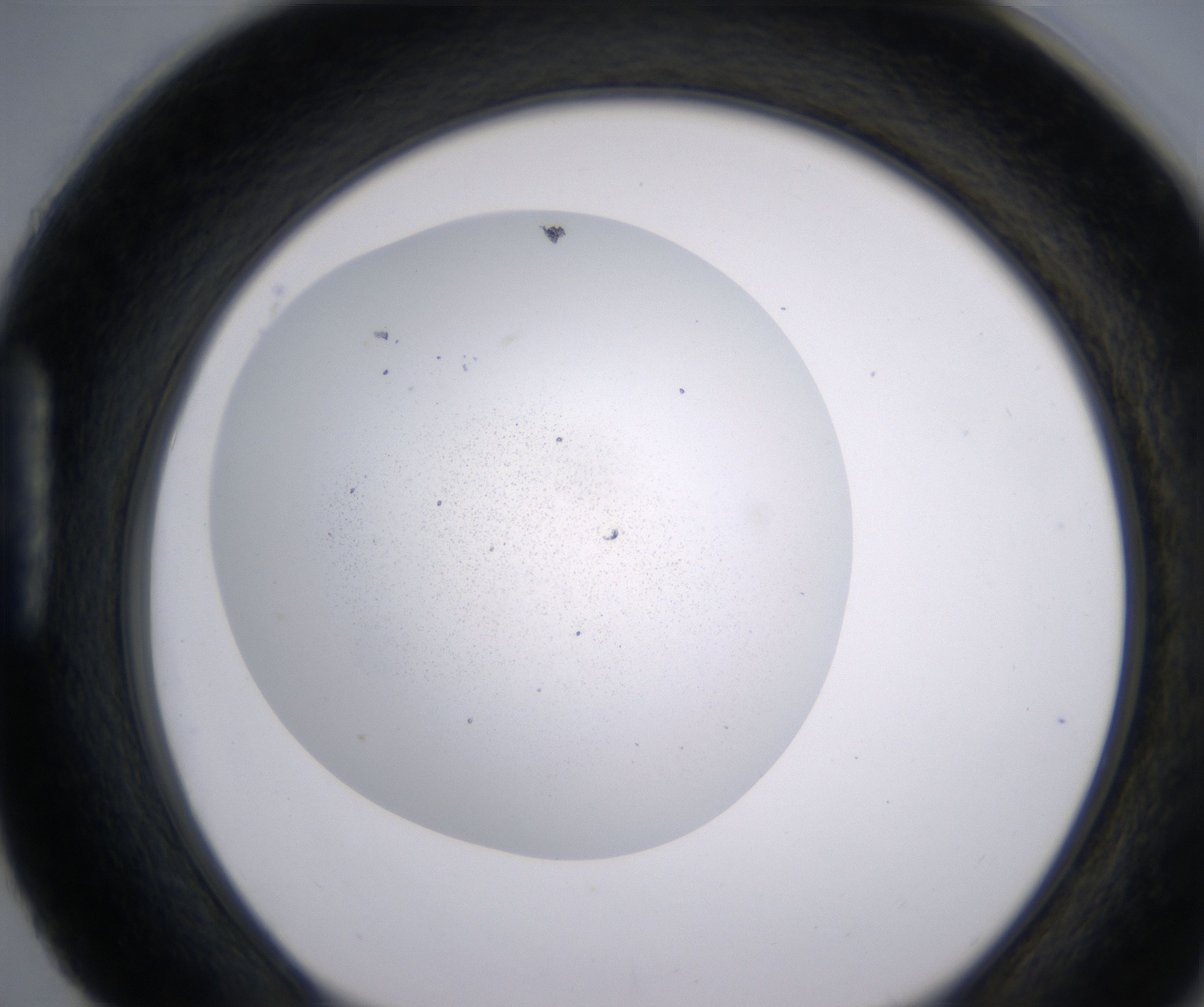 H4_HighResolution_Precipitate_1.jpg