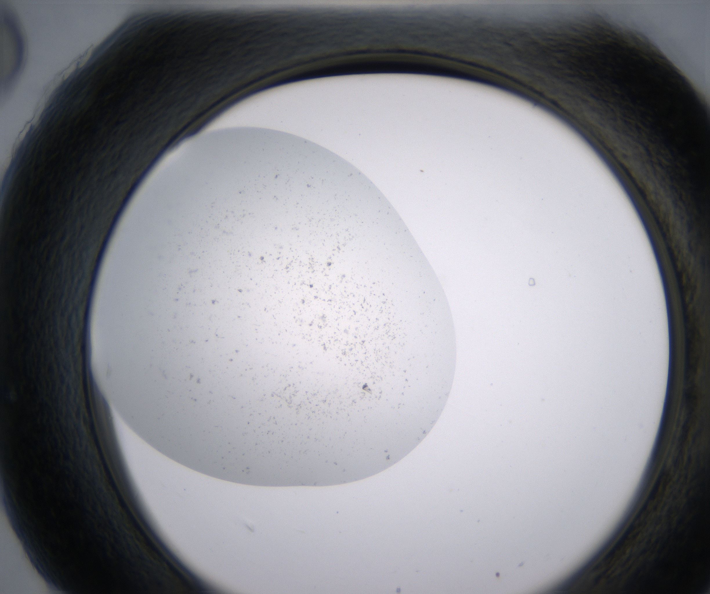 H6_HighResolution_Precipitate_2.jpg