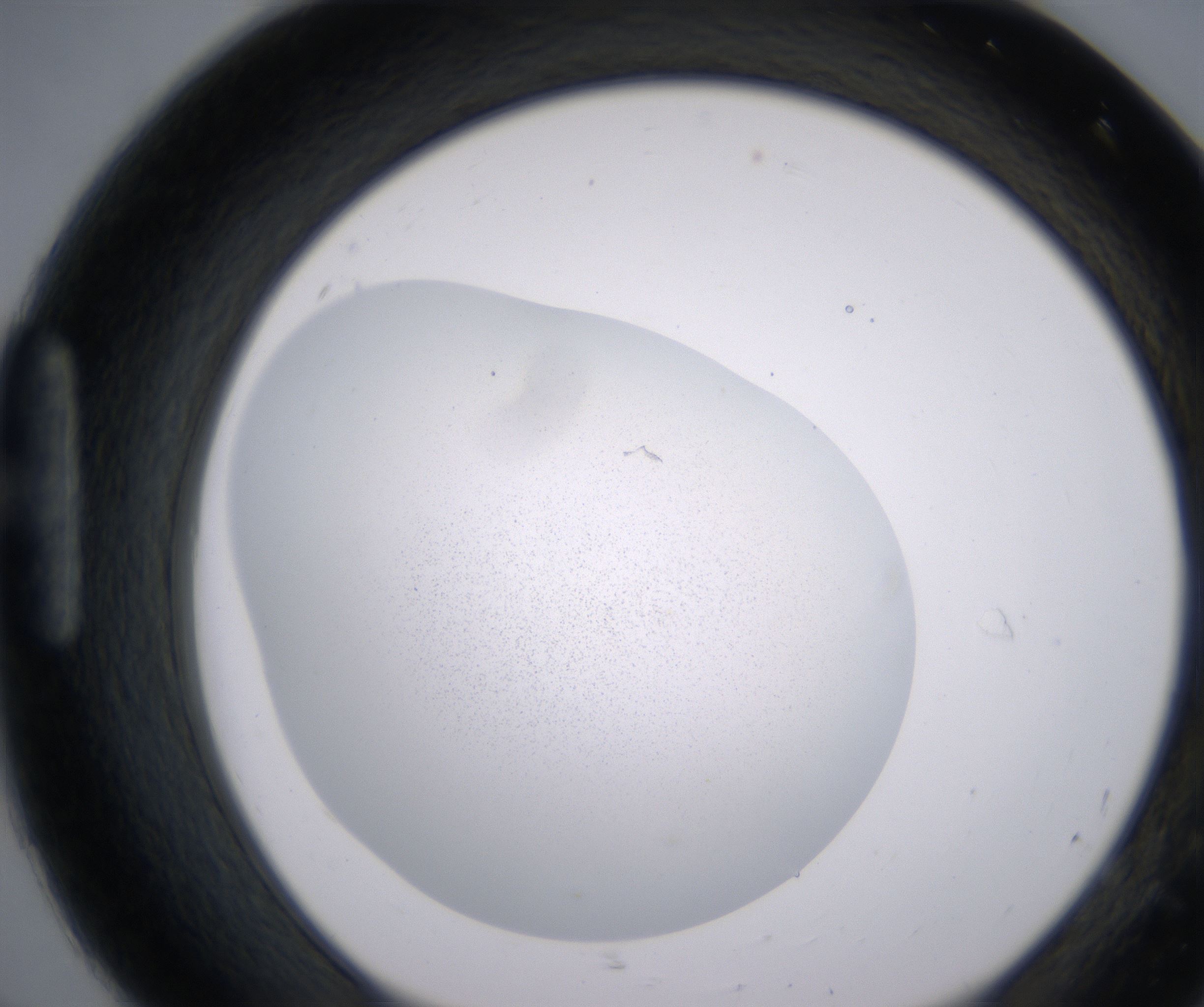 H8_HighResolution_Precipitate_1.jpg