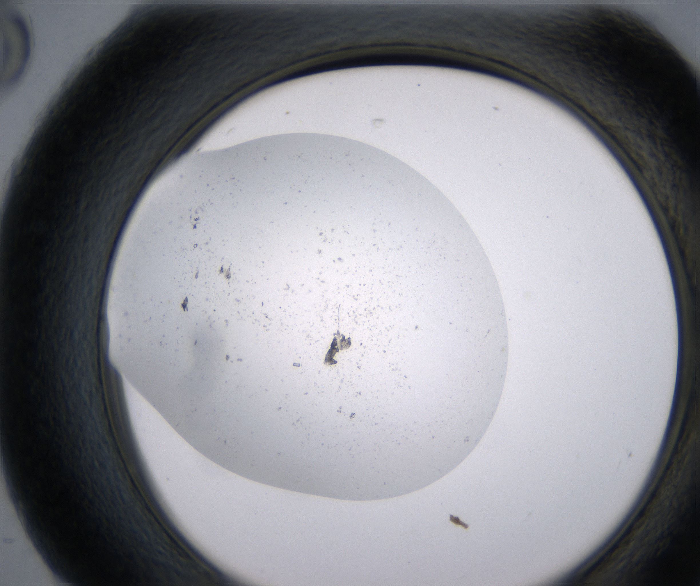 H8_HighResolution_Precipitate_2.jpg