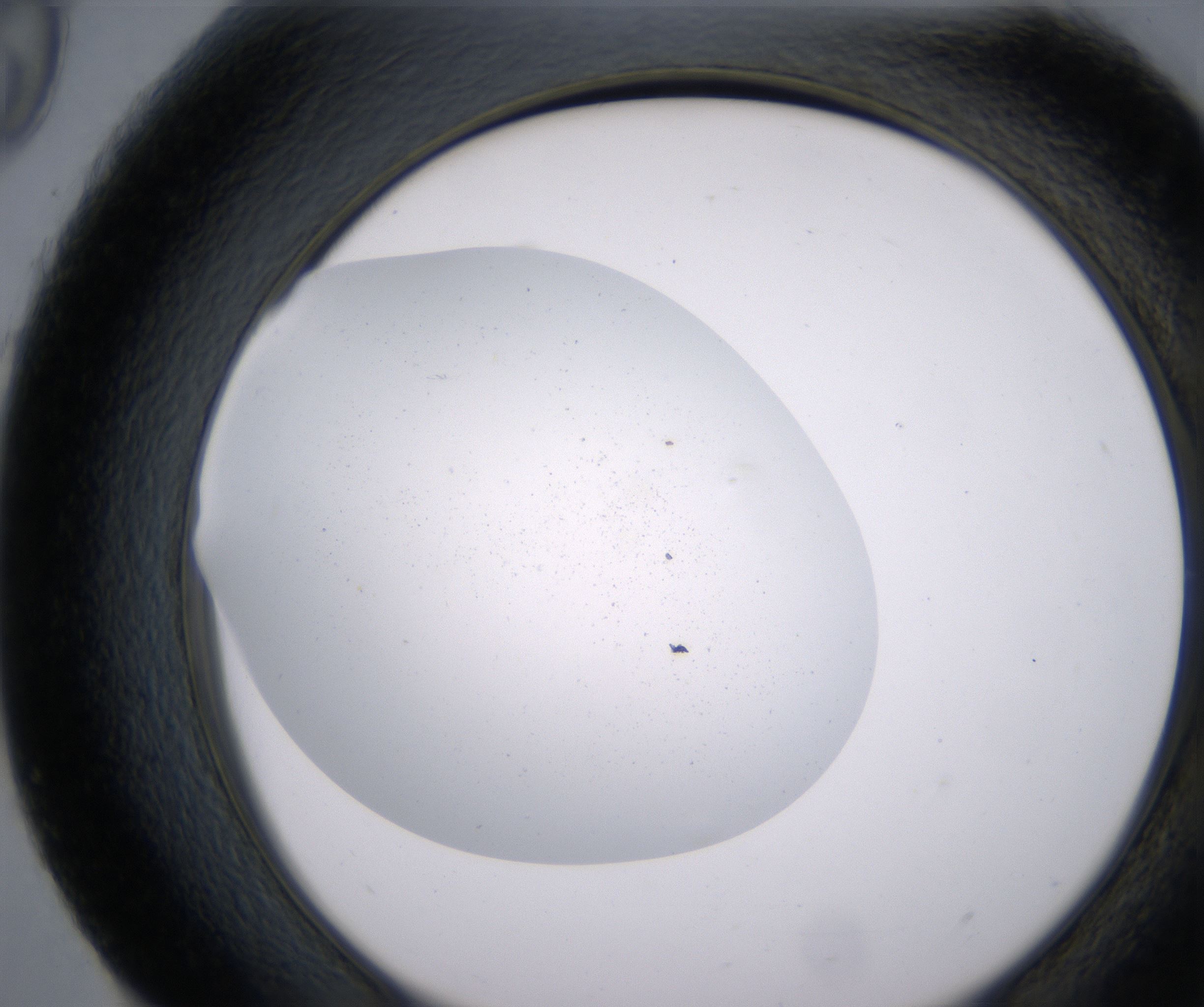 H9_HighResolution_Precipitate_2.jpg