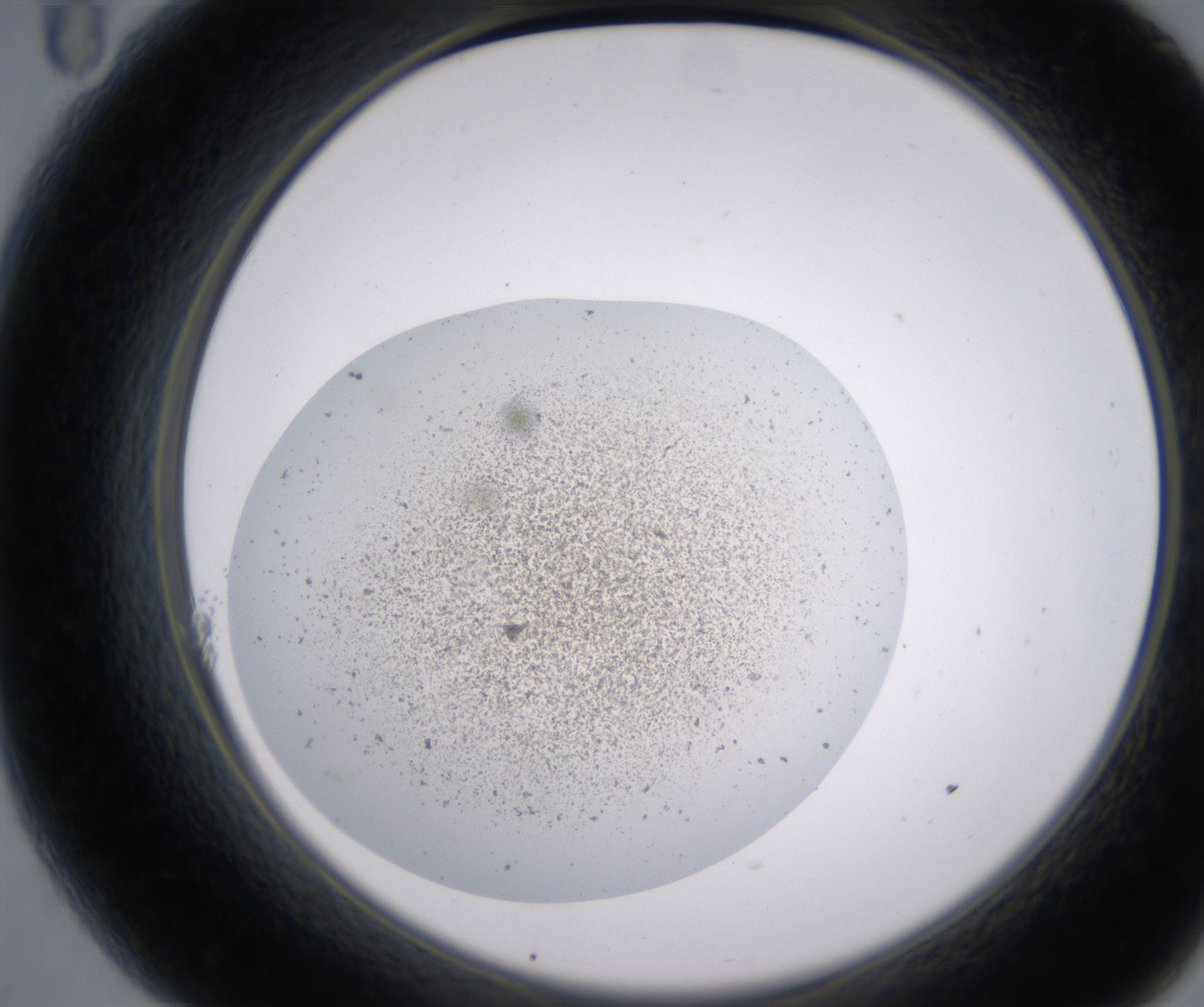 A11_HighResolution_Precipitate_2.jpg