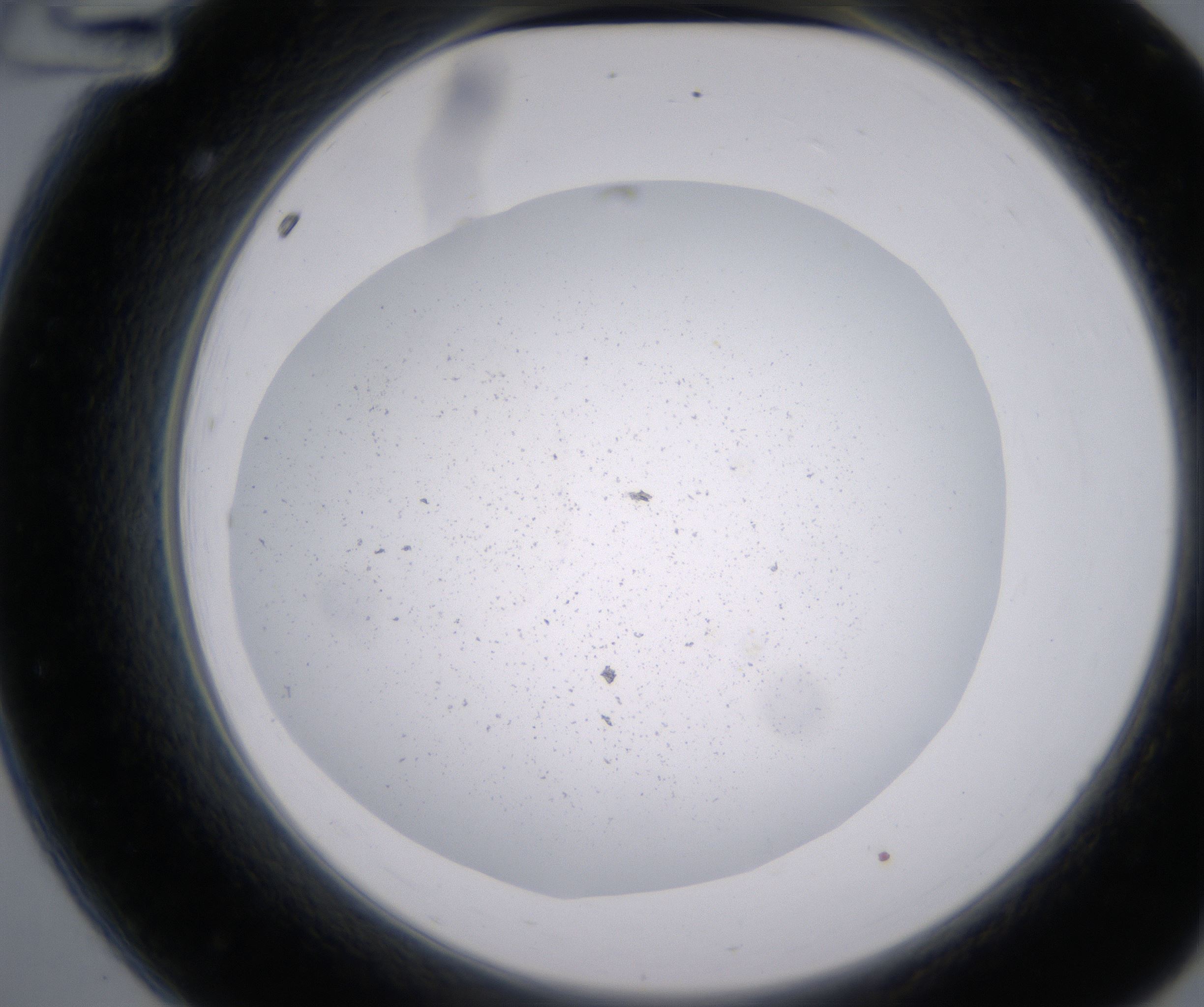 A12_HighResolution_Precipitate_2.jpg