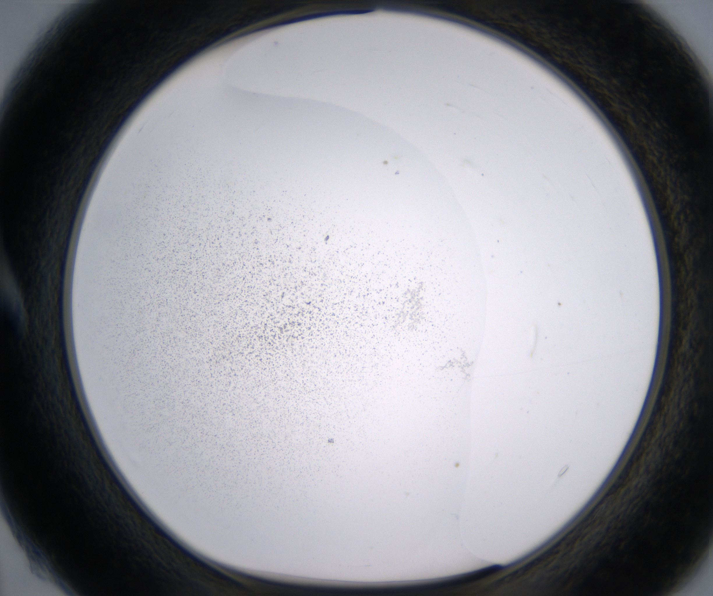 A4_HighResolution_Precipitate_1.jpg