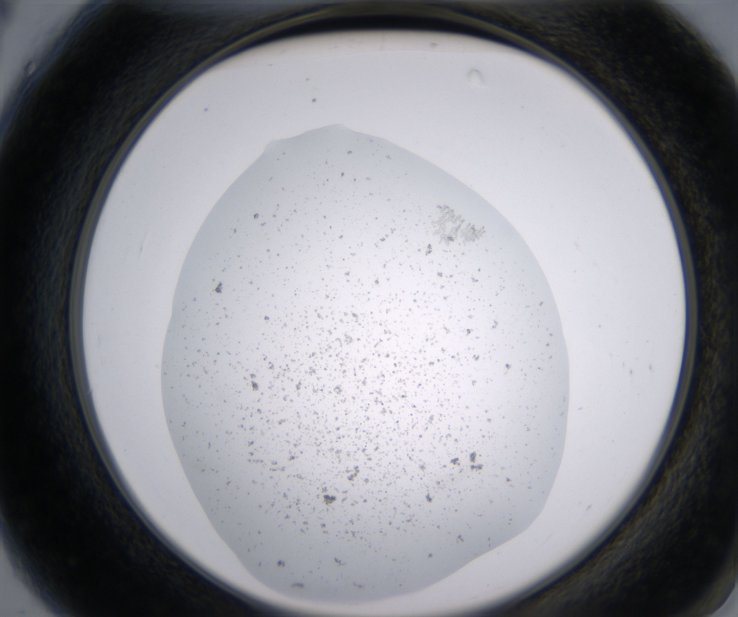 A4_HighResolution_Precipitate_2.jpg