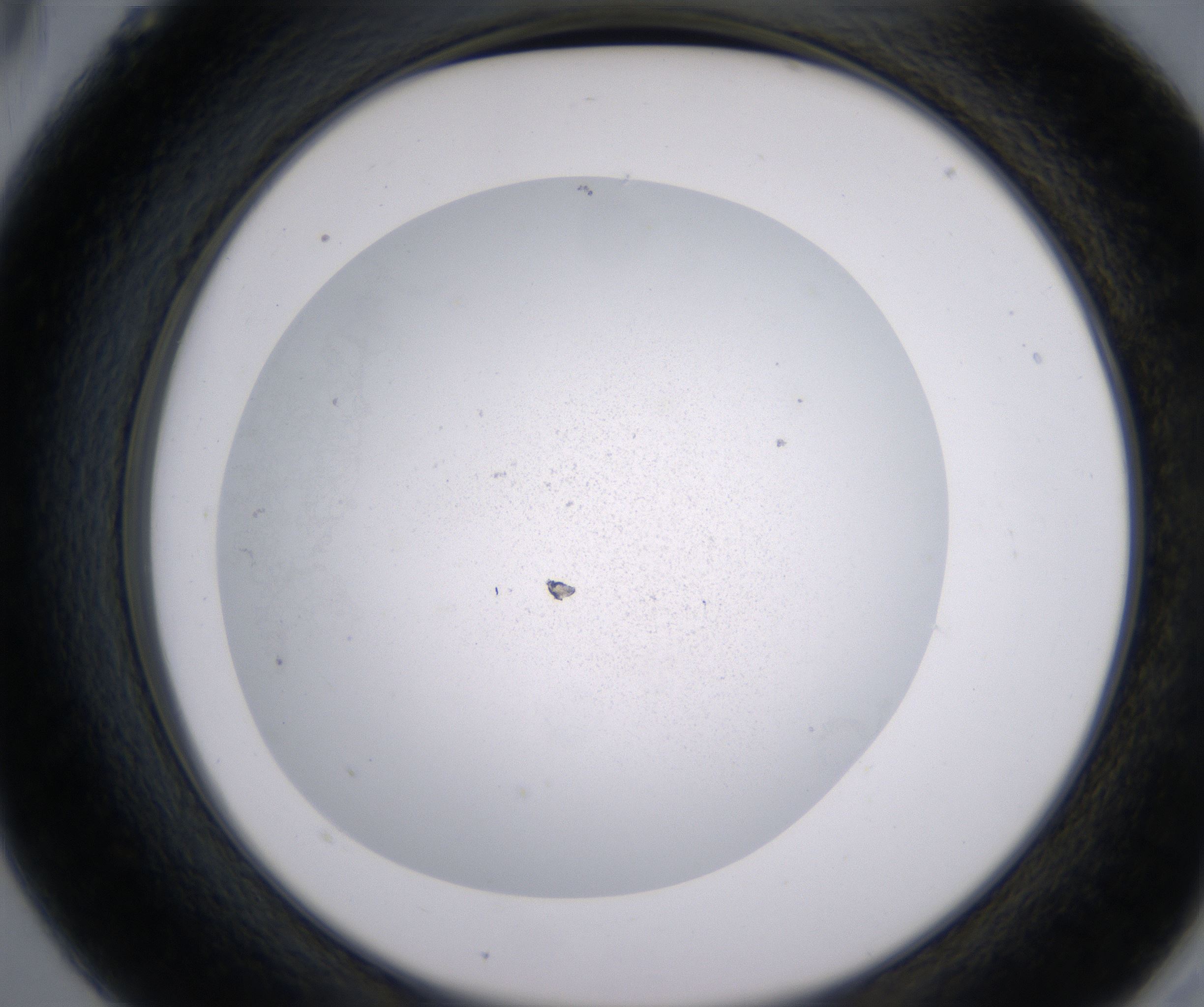 A5_HighResolution_Precipitate_2.jpg