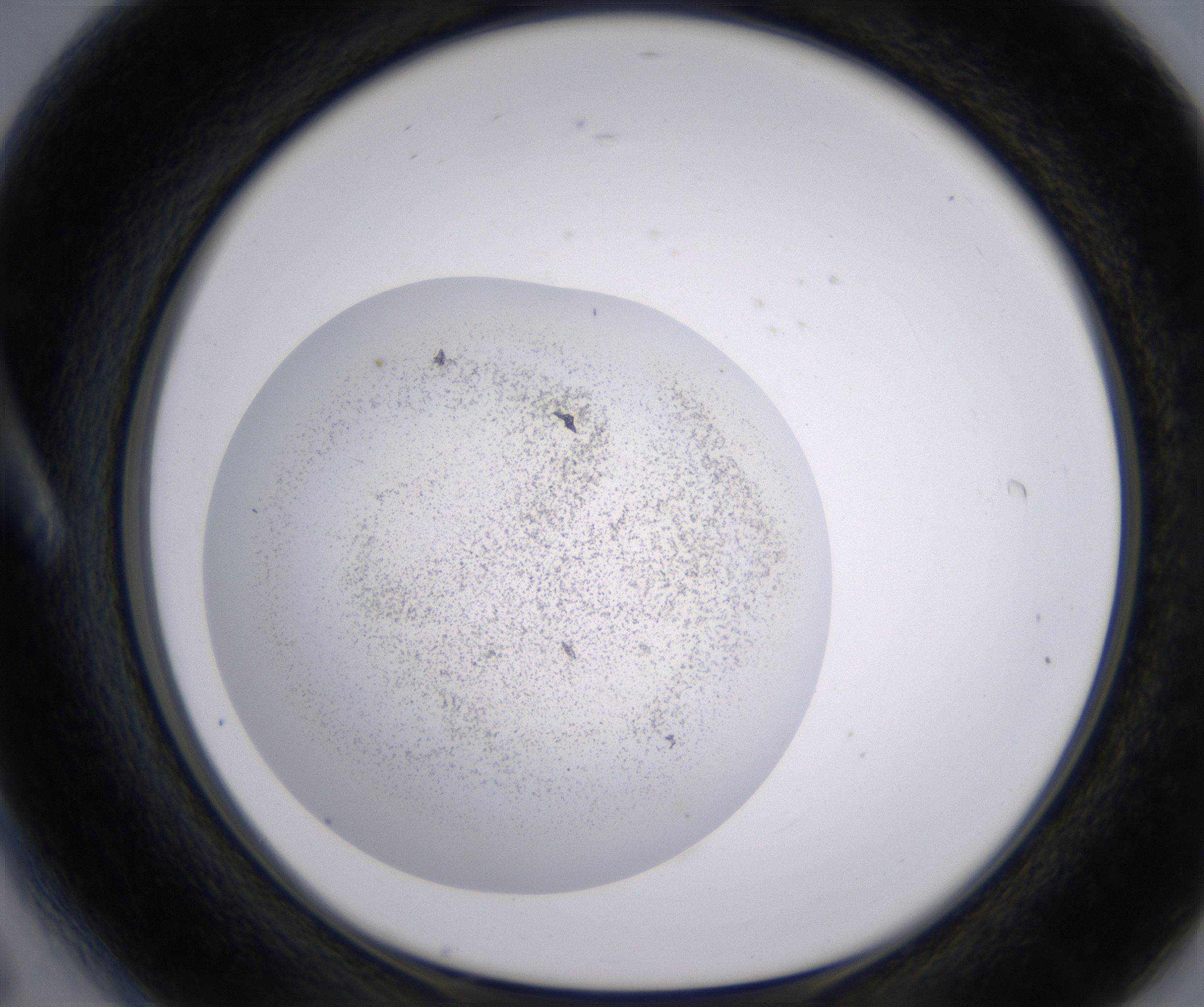 A6_HighResolution_Precipitate_1.jpg
