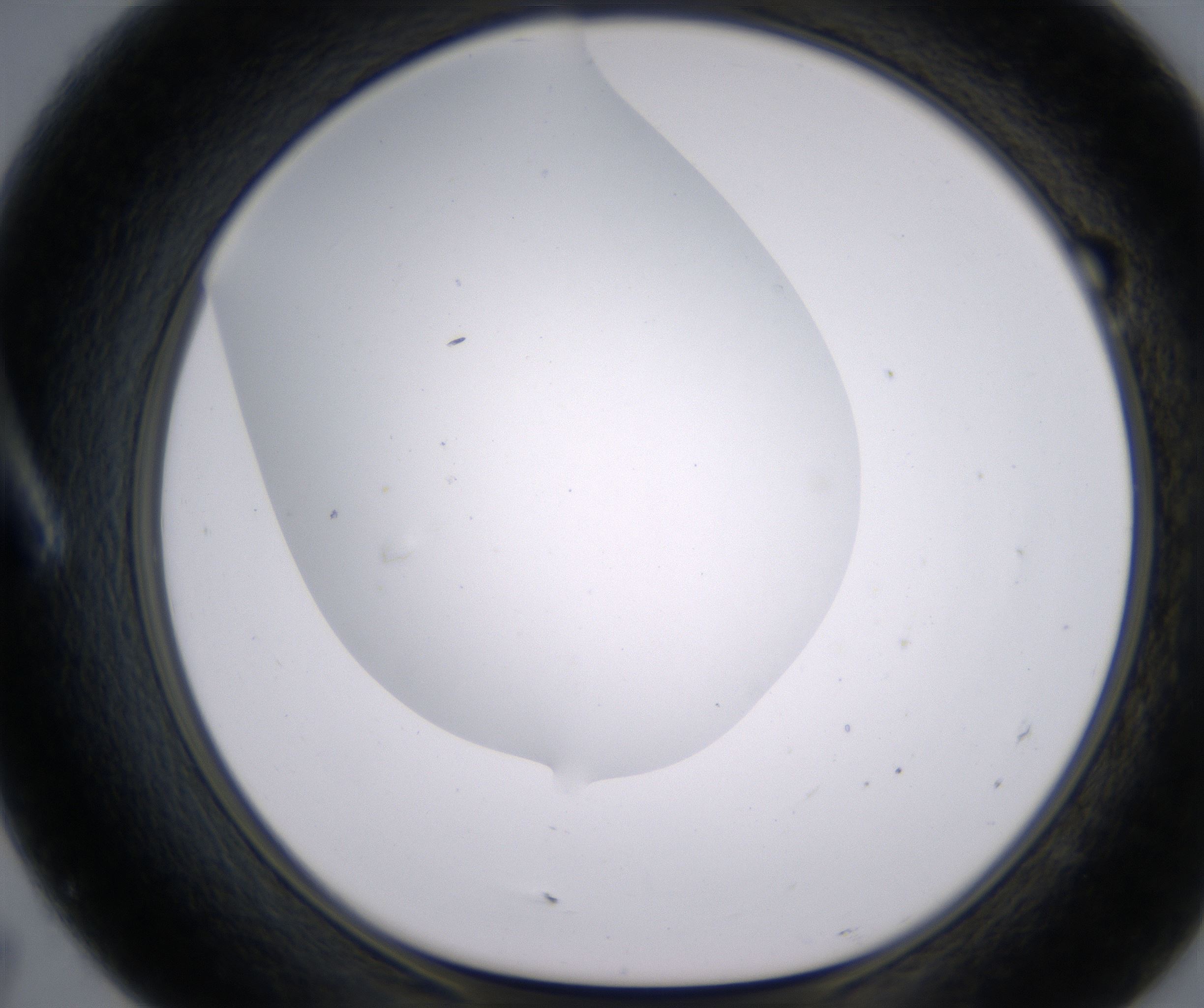 A7_HighResolution_Clear_1.jpg