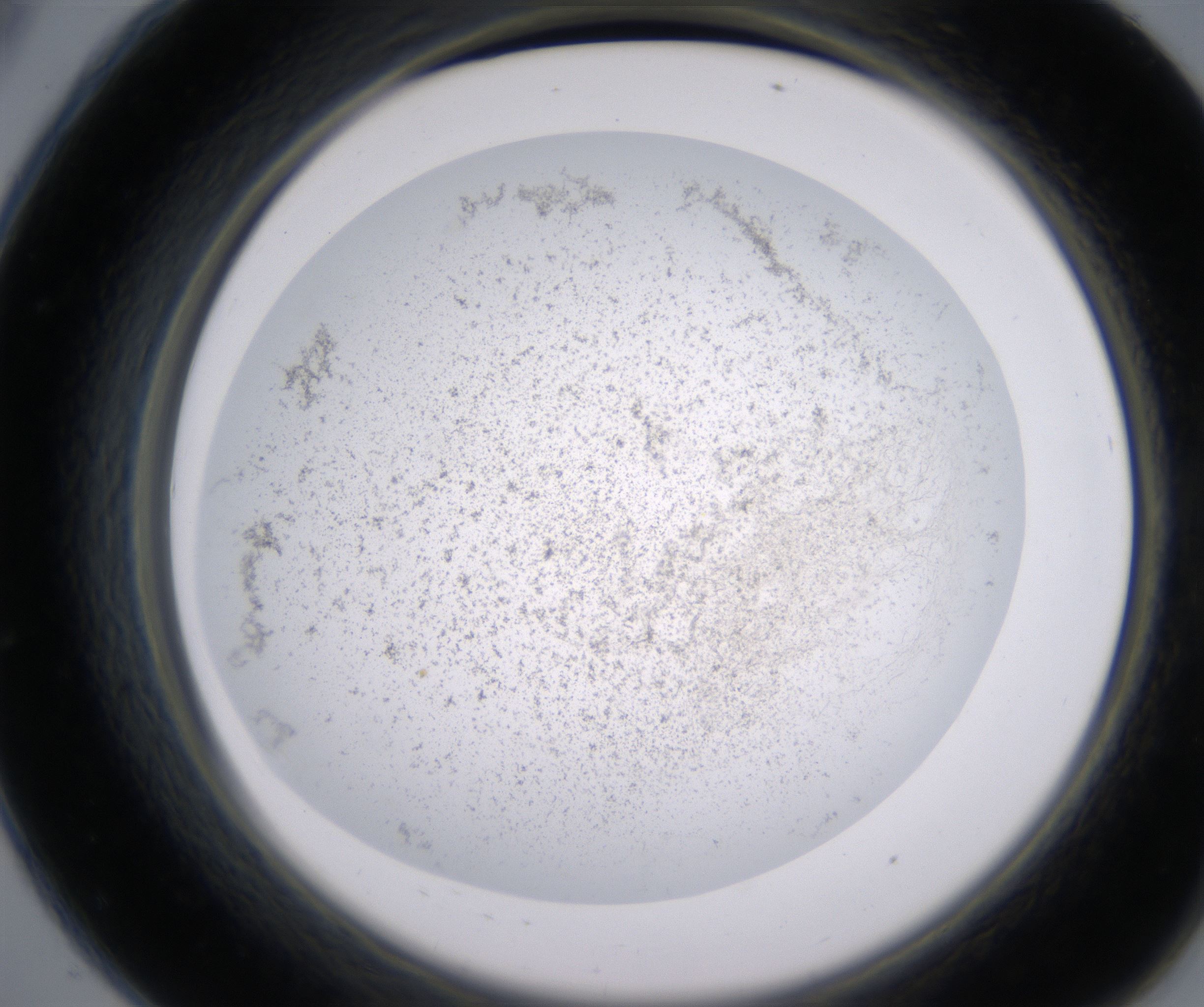 A8_HighResolution_Precipitate_2.jpg