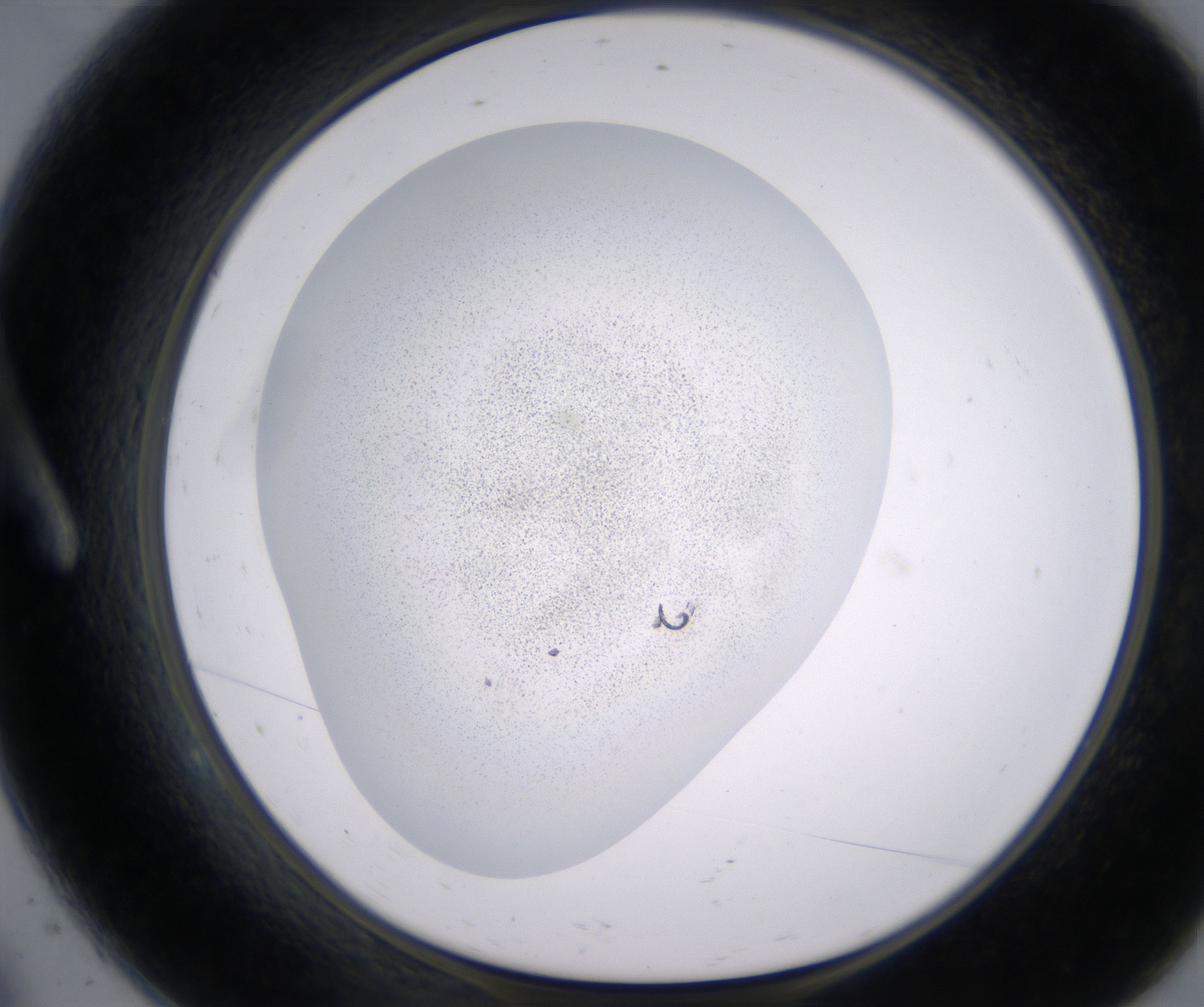 A9_HighResolution_Precipitate_1.jpg