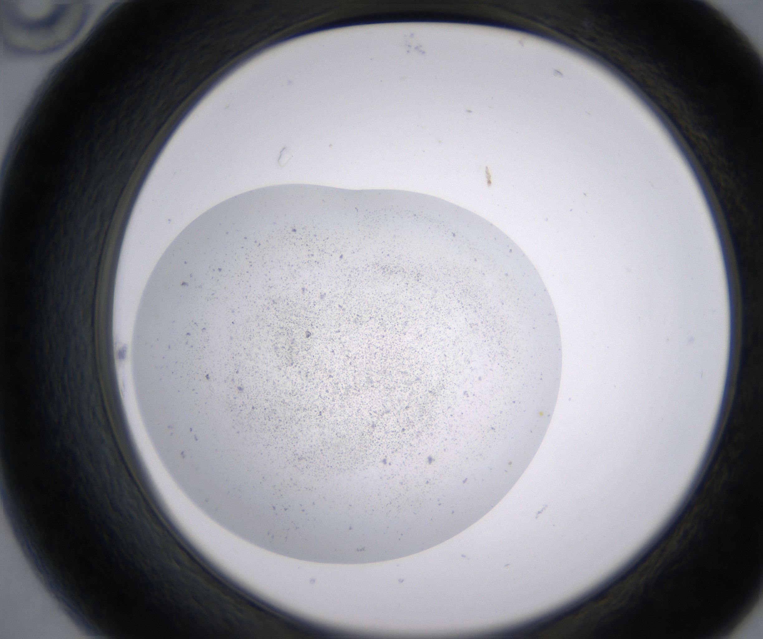 B10_HighResolution_Precipitate_2.jpg