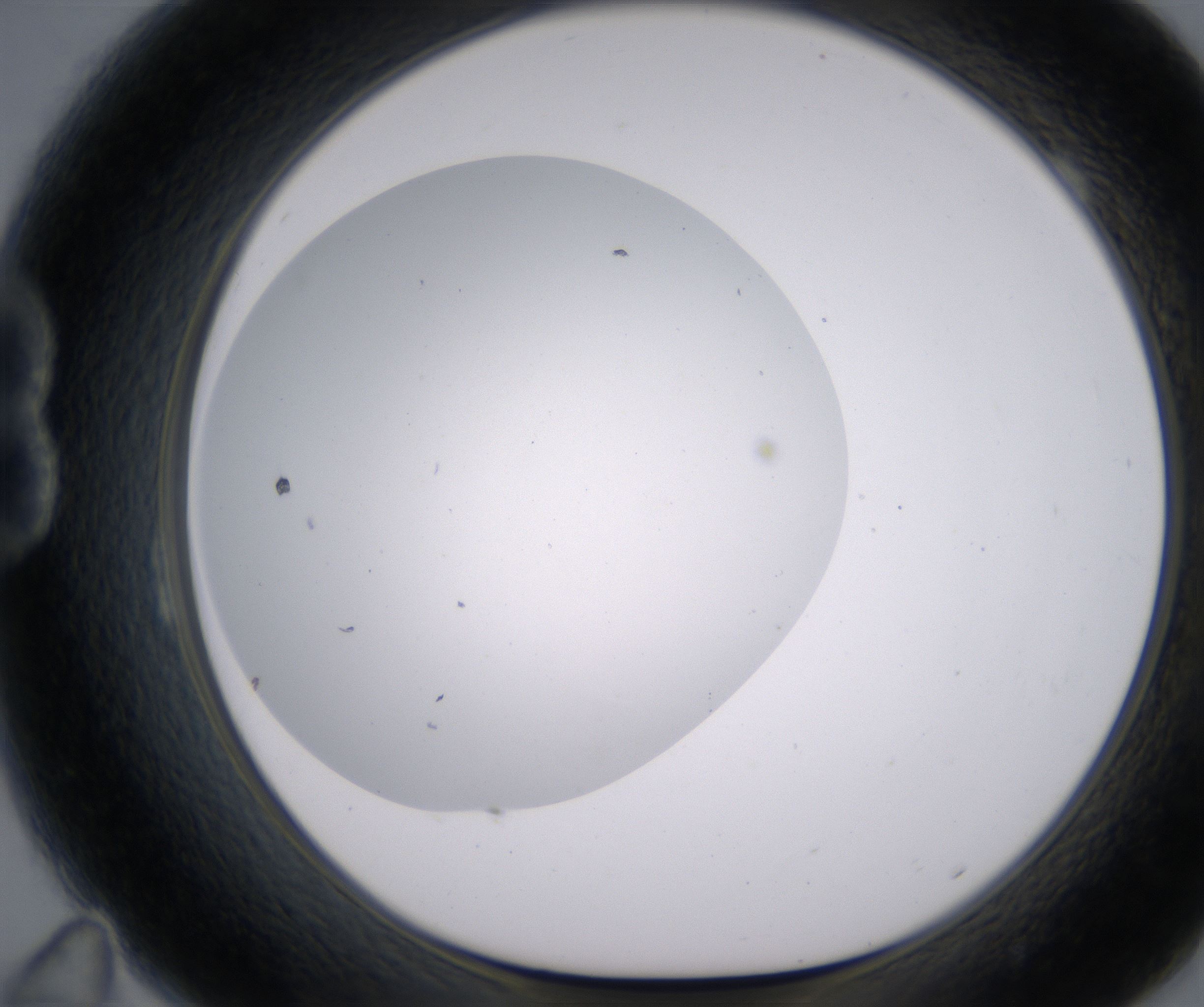 B11_HighResolution_Clear_1.jpg