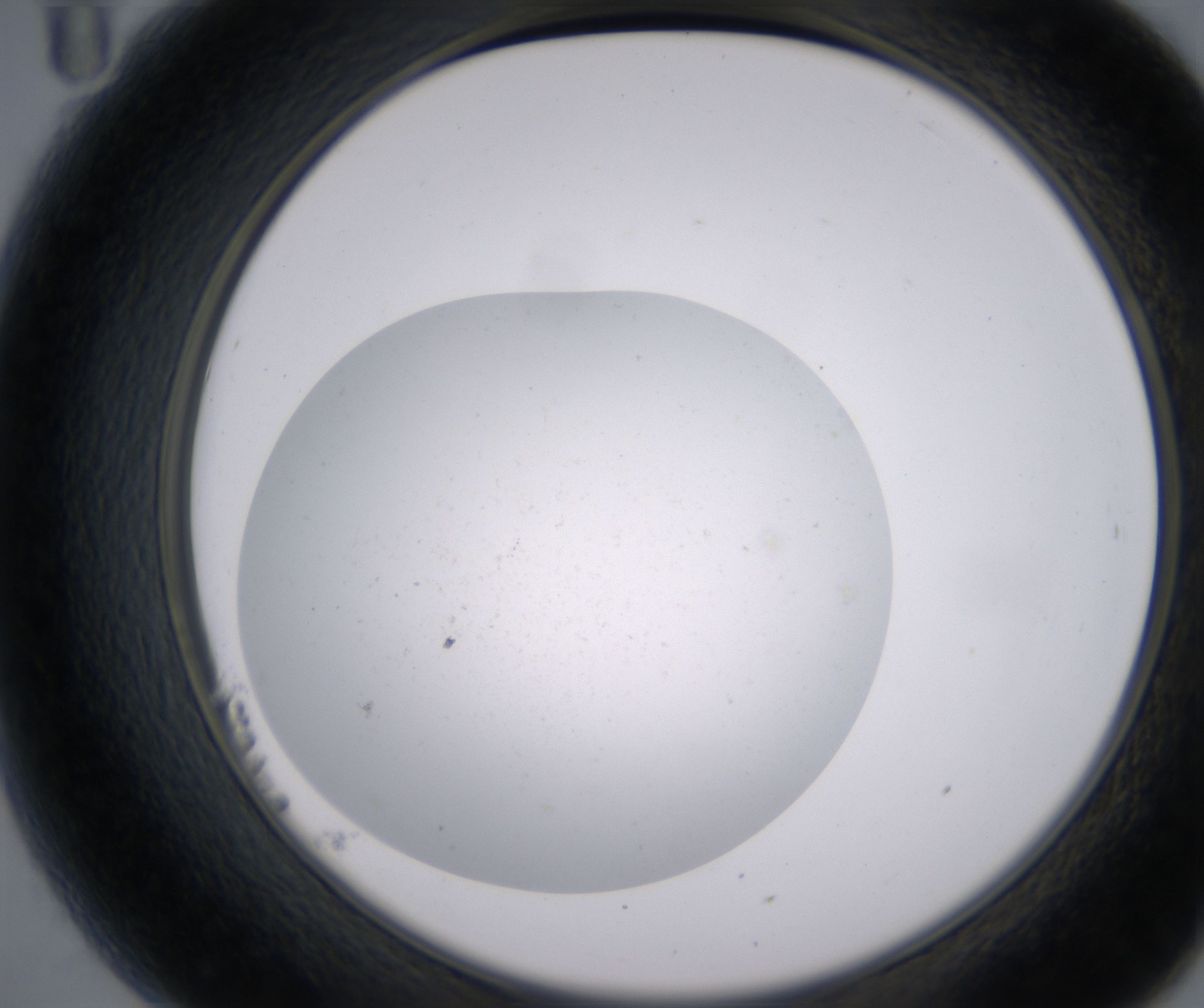 B11_HighResolution_Clear_2.jpg