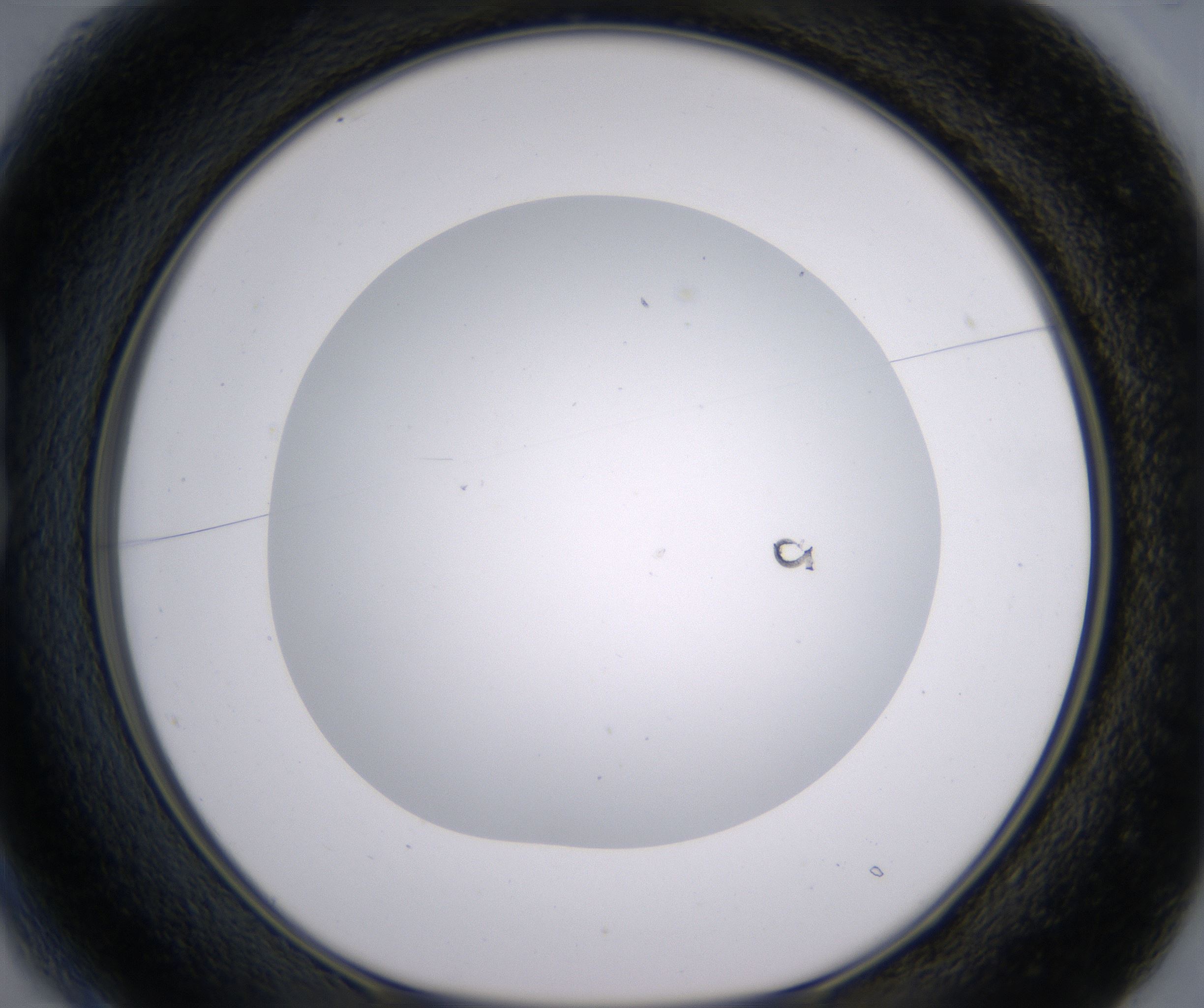 B1_HighResolution_Clear_1.jpg
