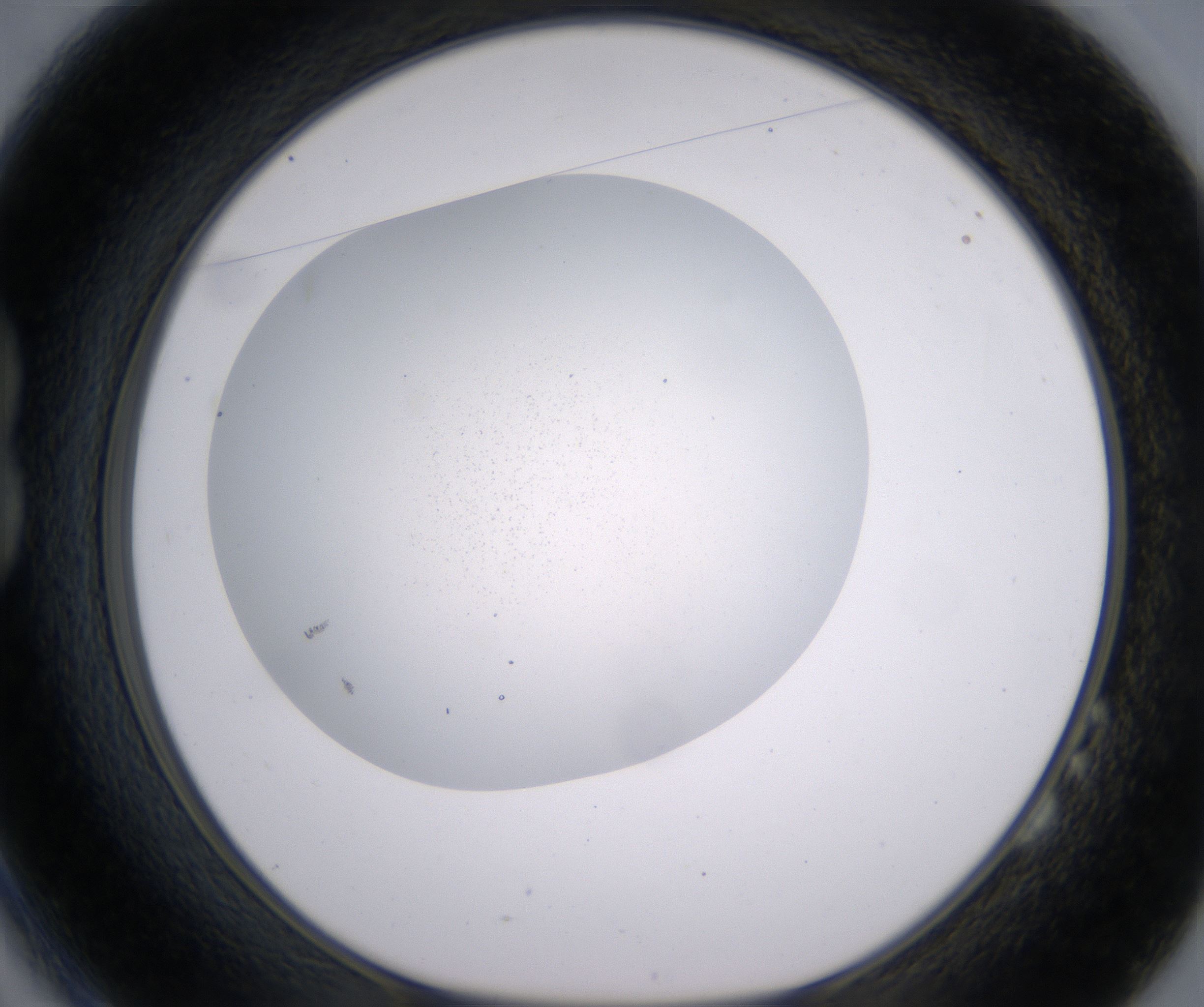 B2_HighResolution_Precipitate_1.jpg