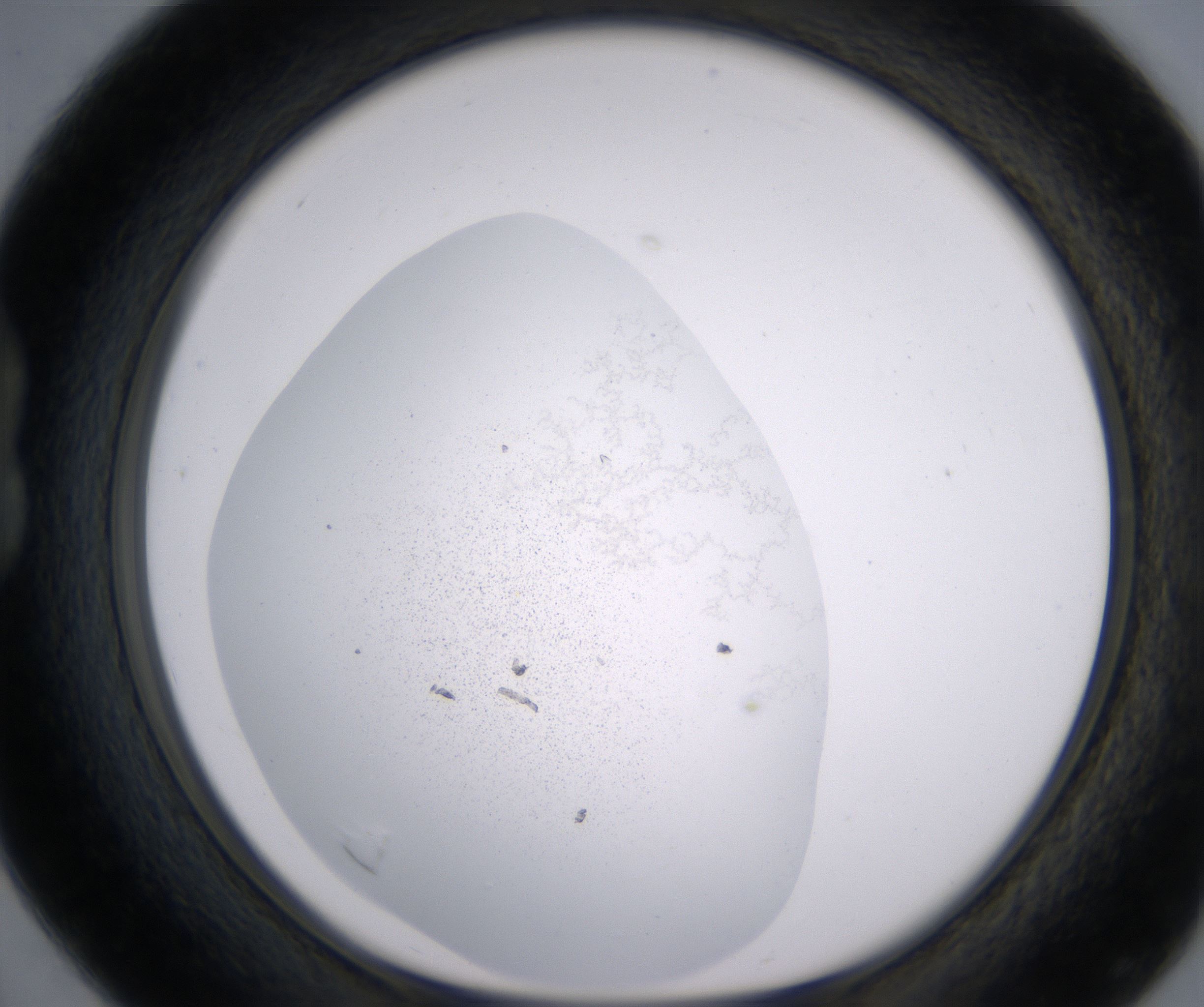 B4_HighResolution_Precipitate_1.jpg
