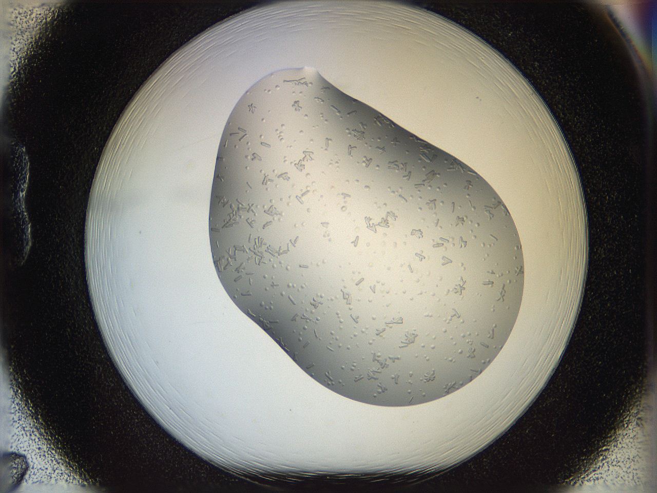 05jm_B7_ImagerDefaults_9.jpg