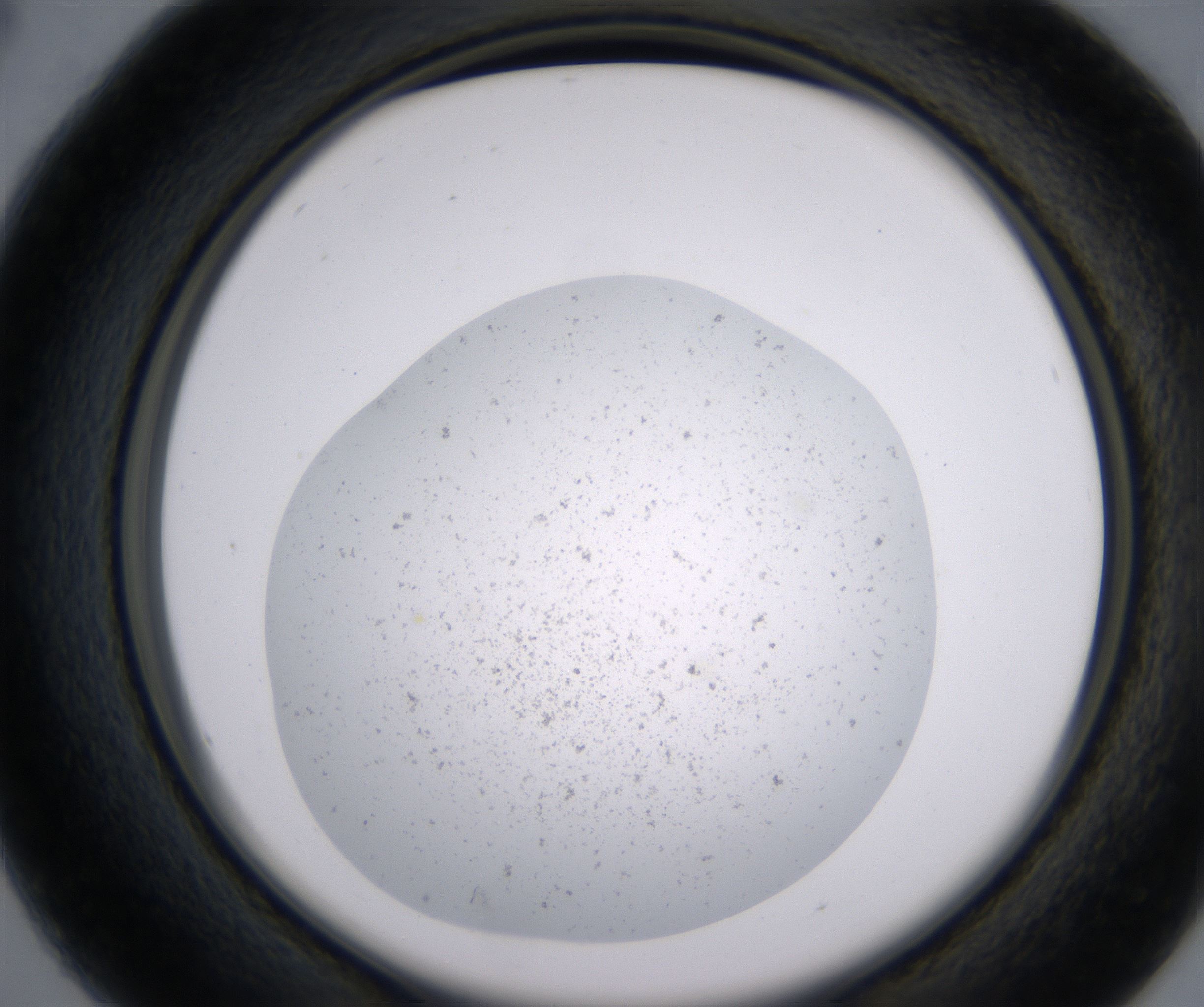 B4_HighResolution_Precipitate_2.jpg