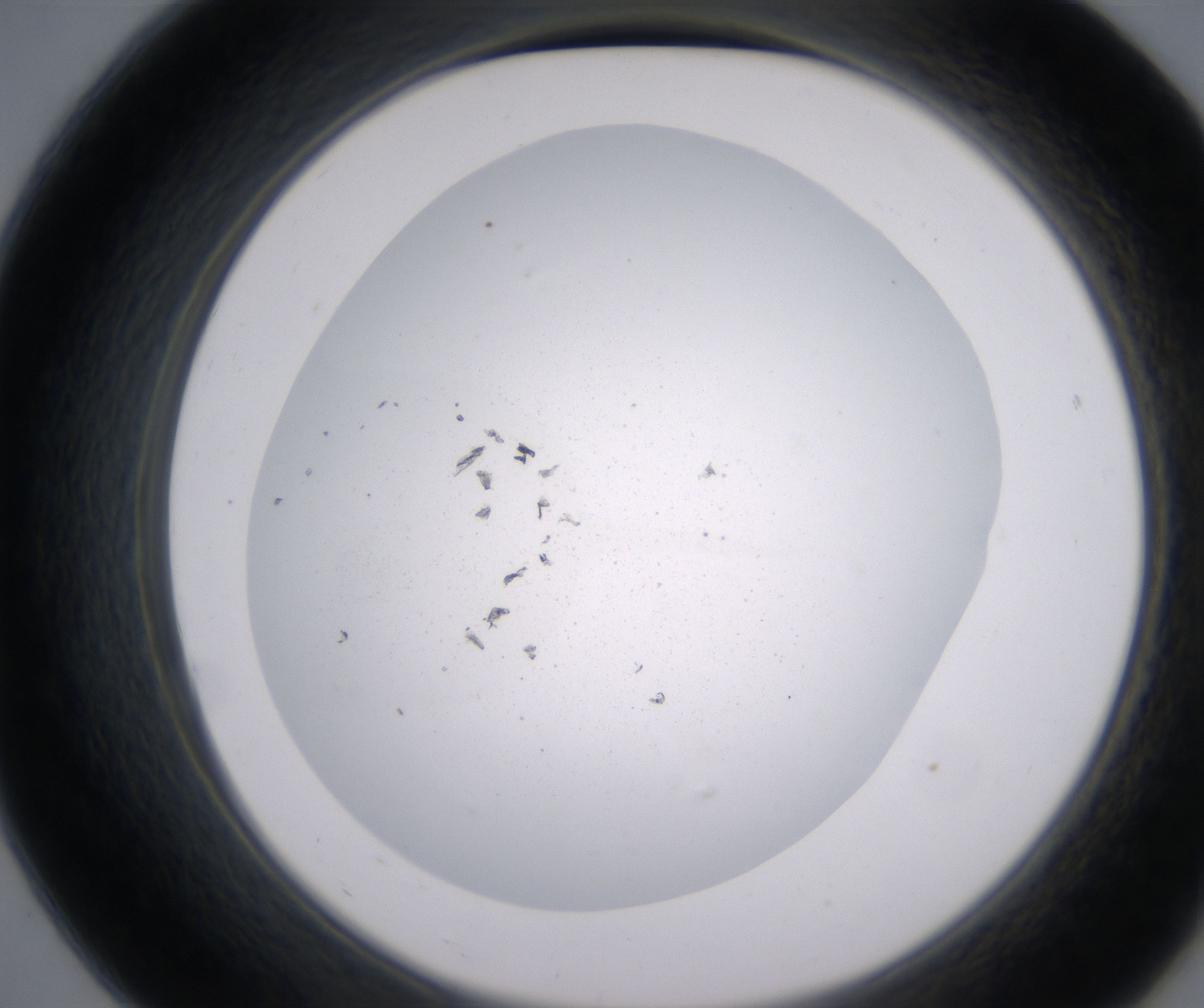 B7_HighResolution_Precipitate_2.jpg