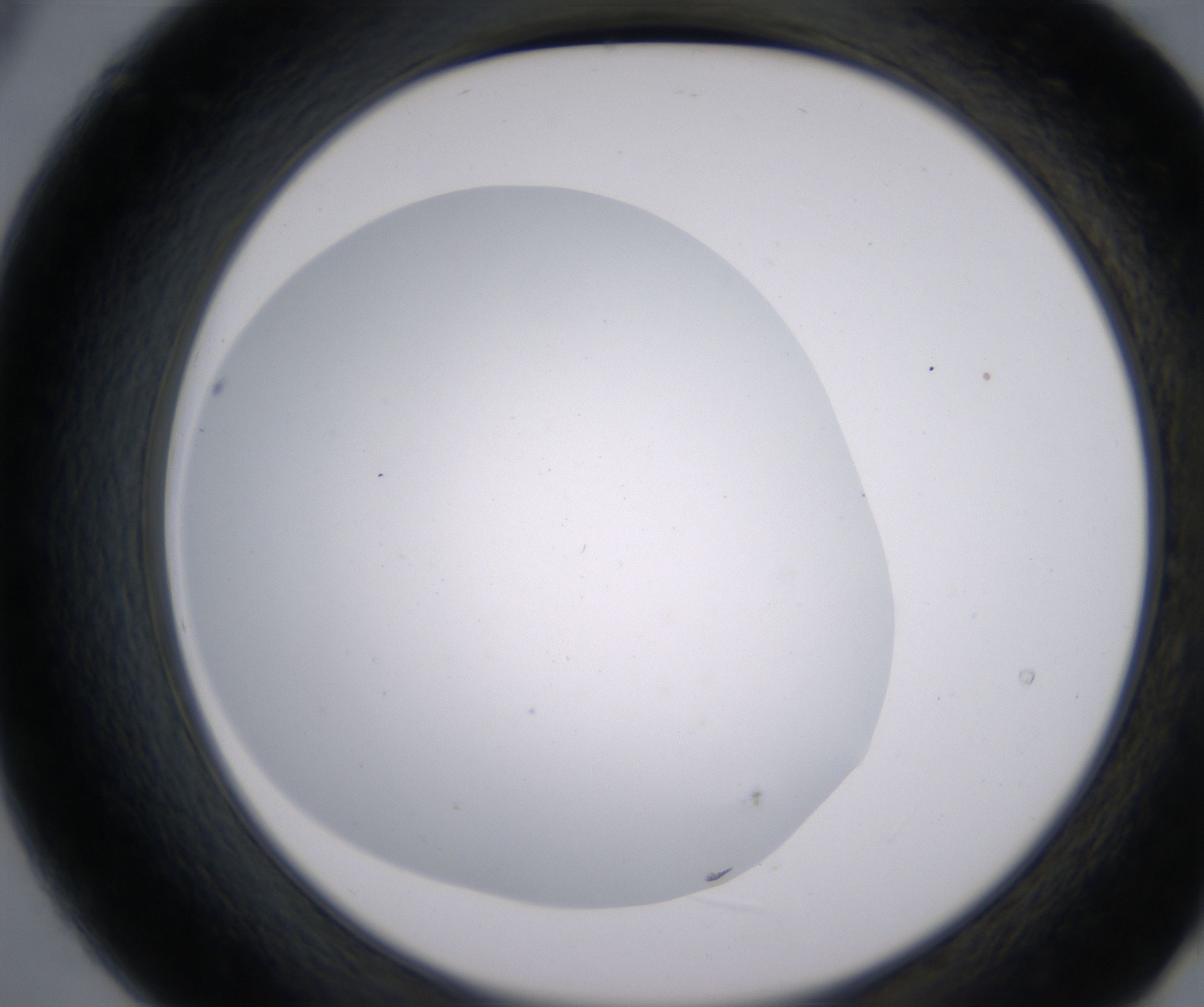 B9_HighResolution_Clear_2.jpg