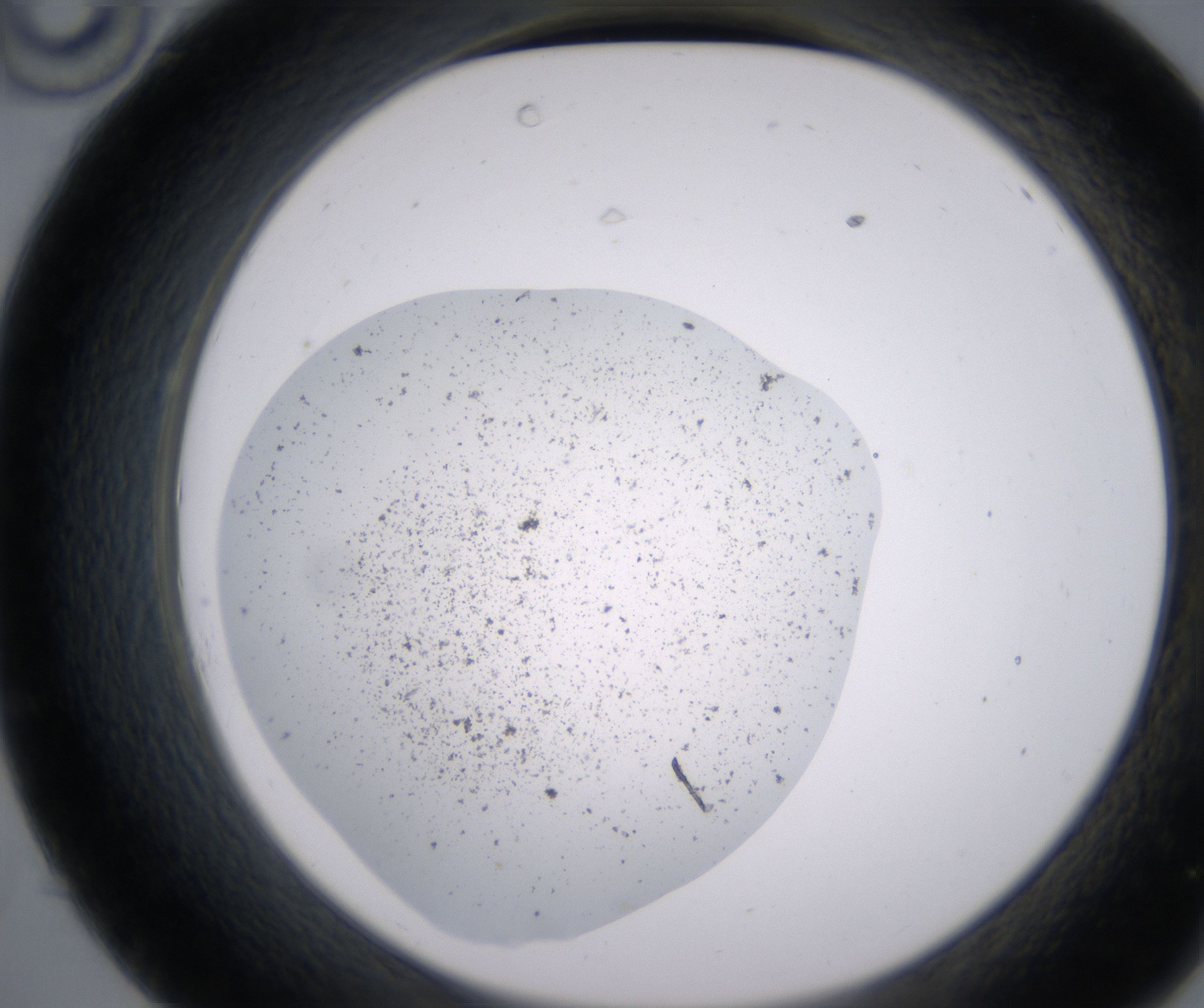 C10_HighResolution_Precipitate_2.jpg
