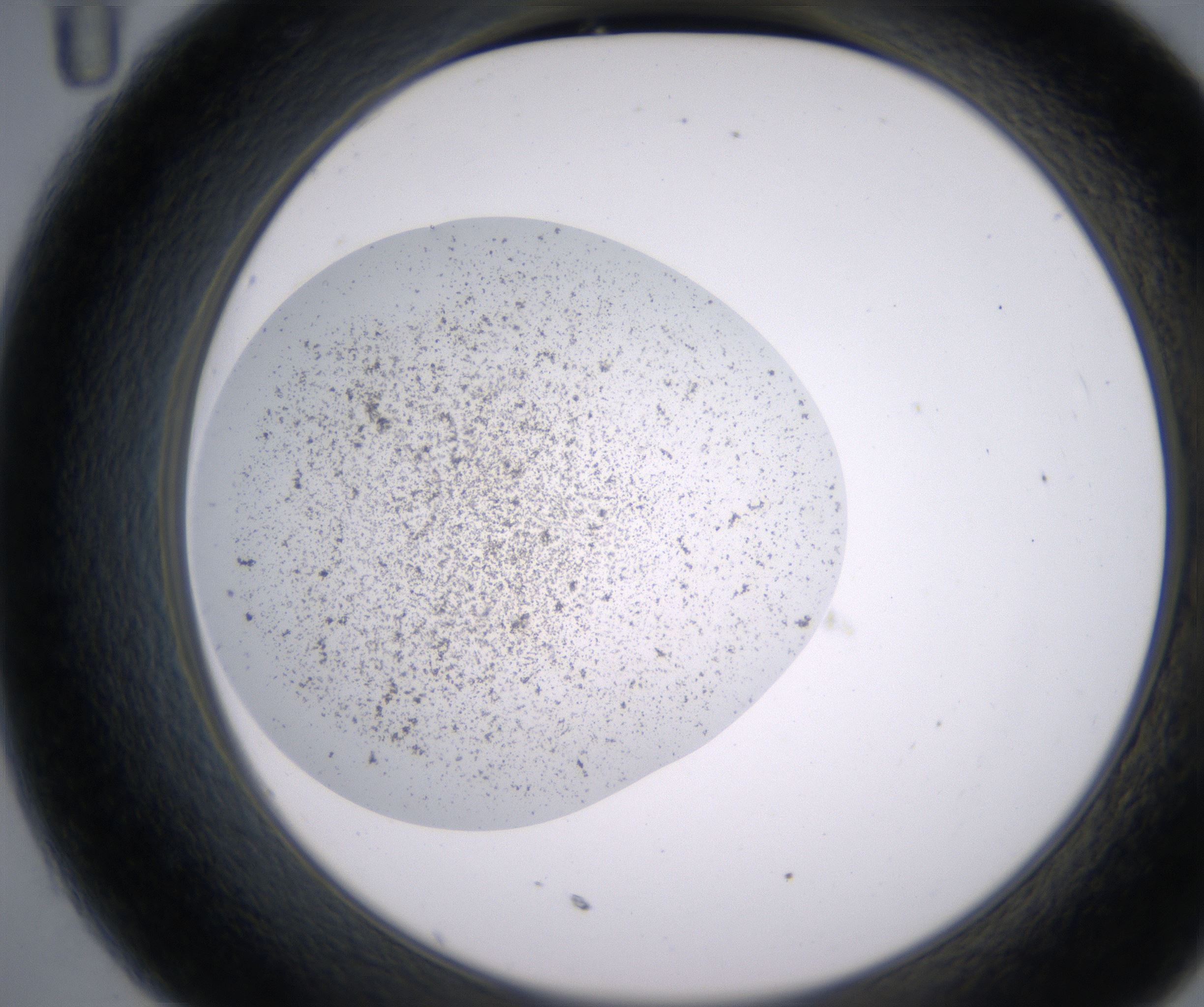 C11_HighResolution_Precipitate_2.jpg