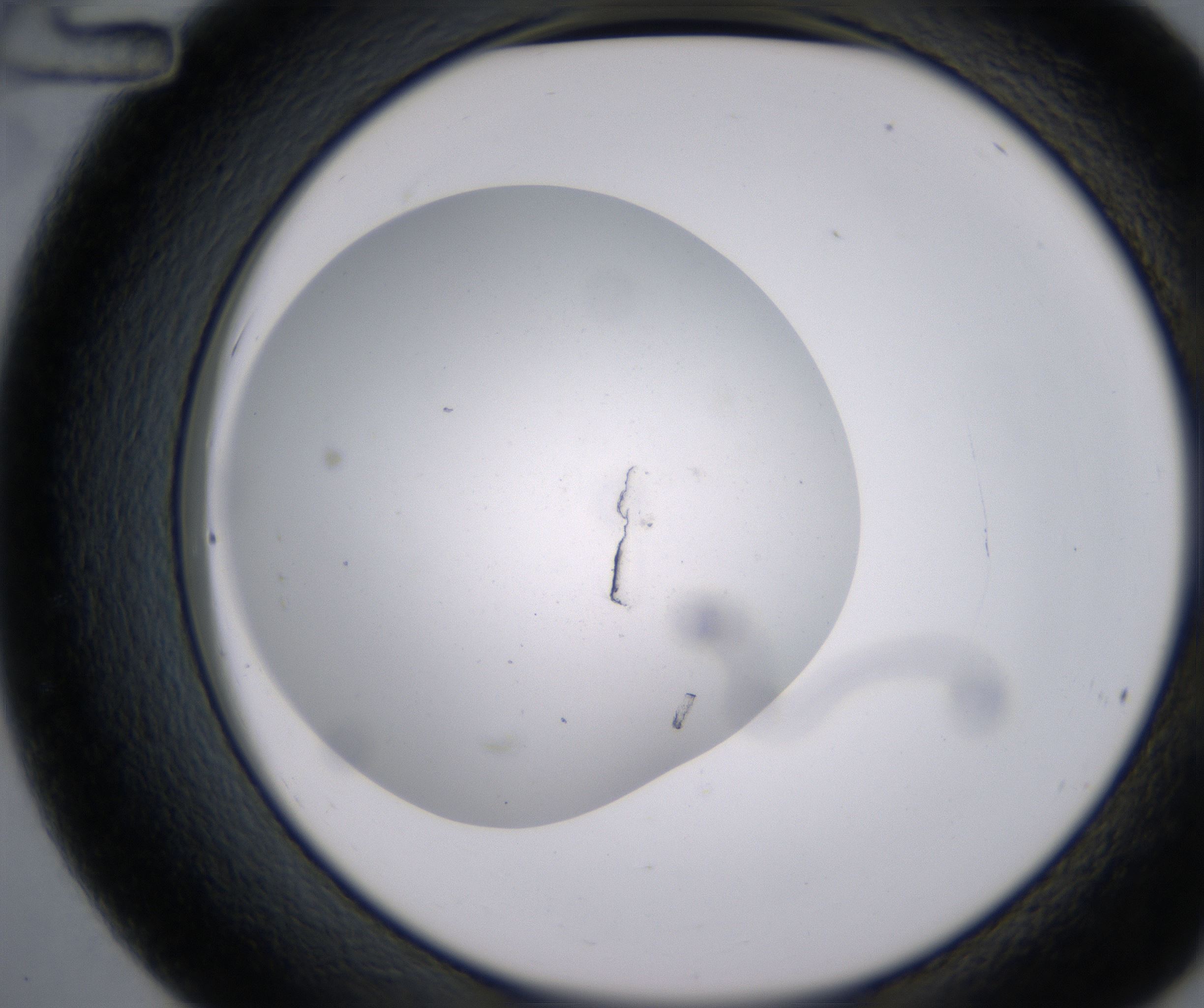 C12_HighResolution_Clear_2.jpg