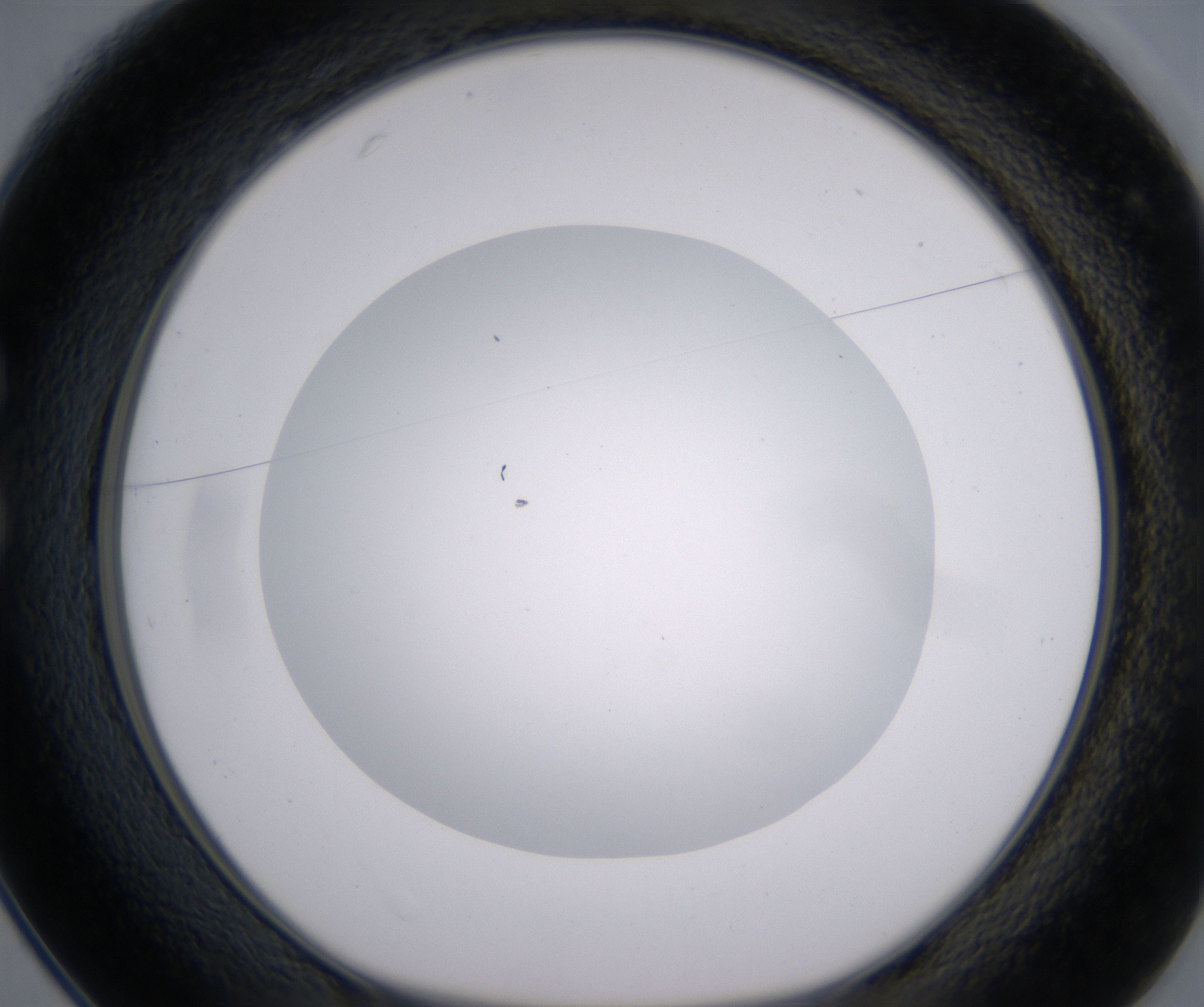 C1_HighResolution_Clear_1.jpg