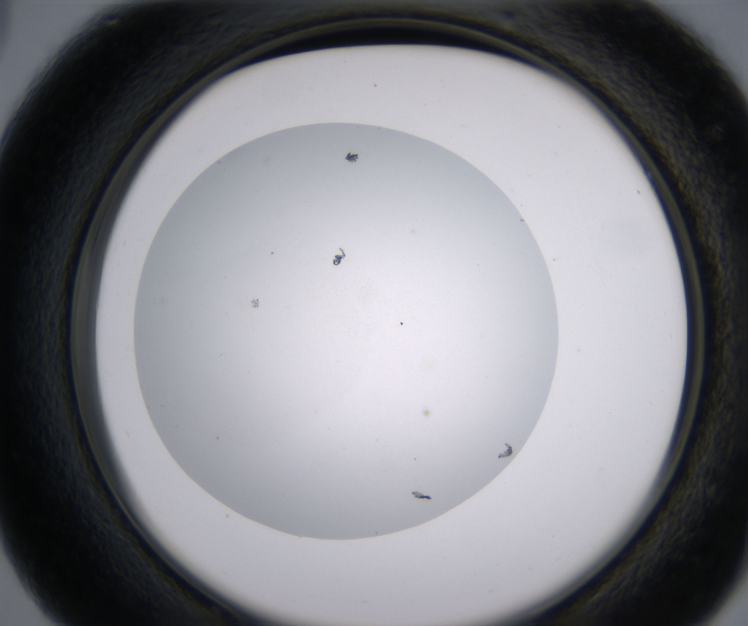 C3_HighResolution_Clear_2.jpg