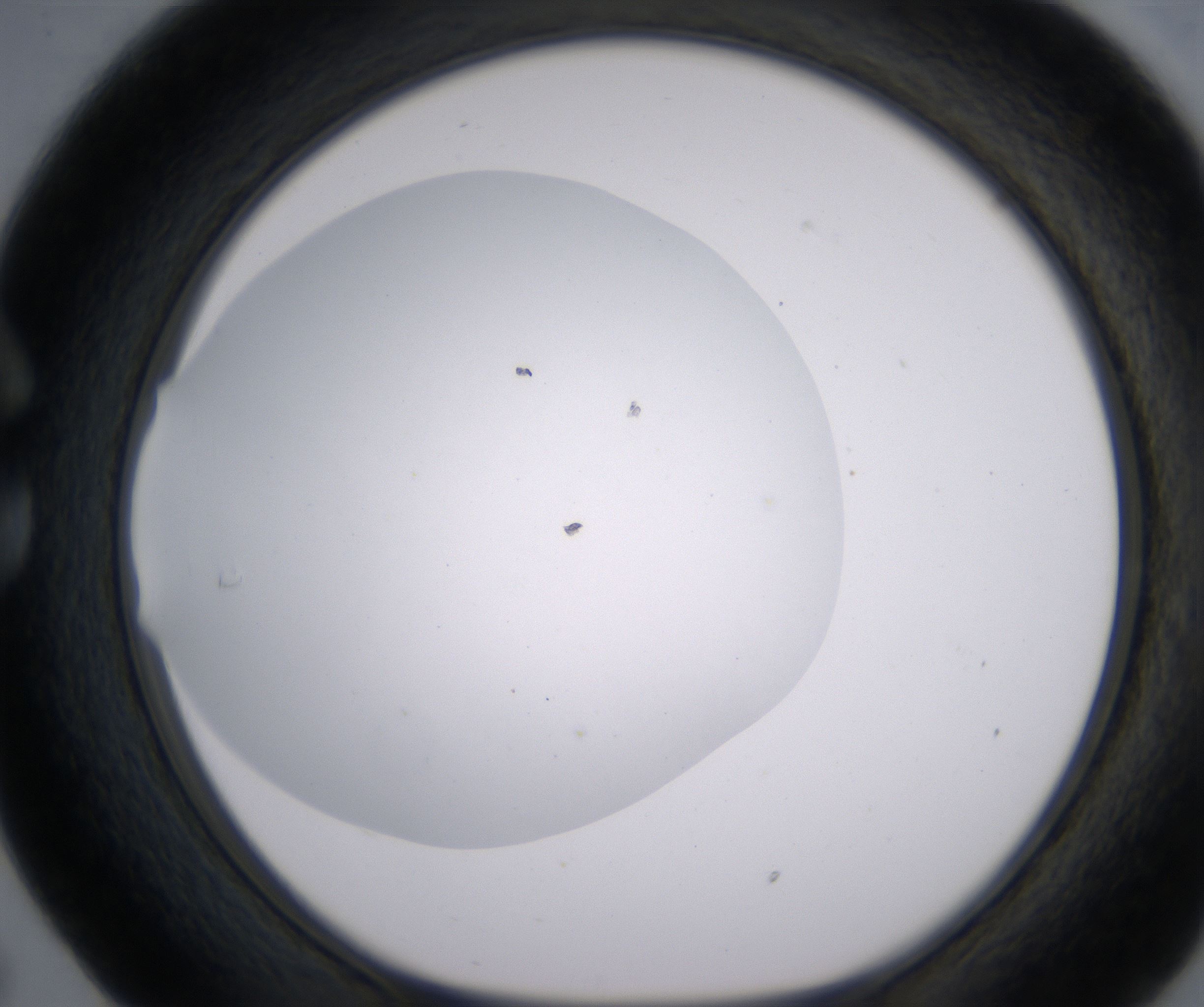 C5_HighResolution_Clear_1.jpg
