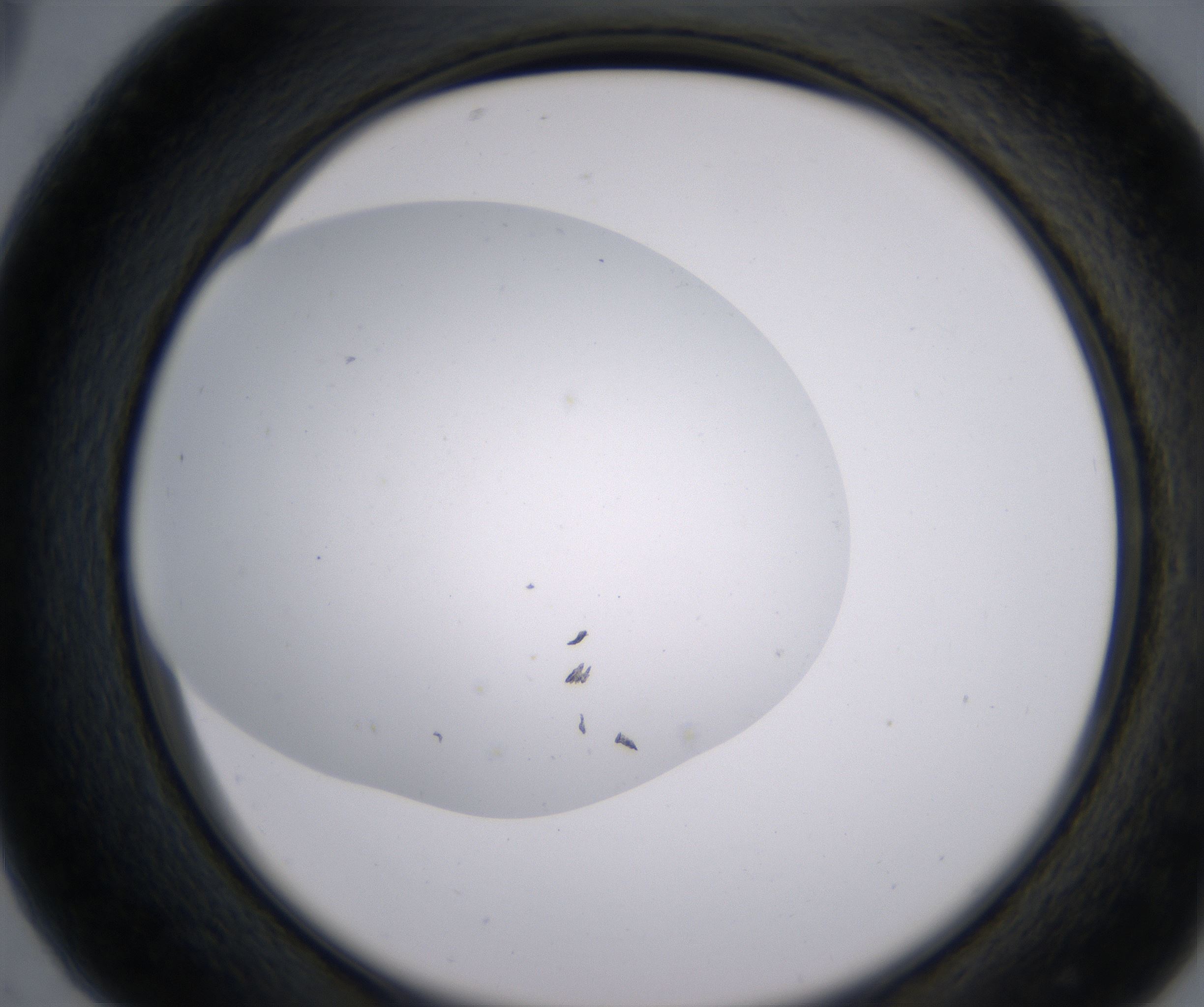 C5_HighResolution_Clear_2.jpg