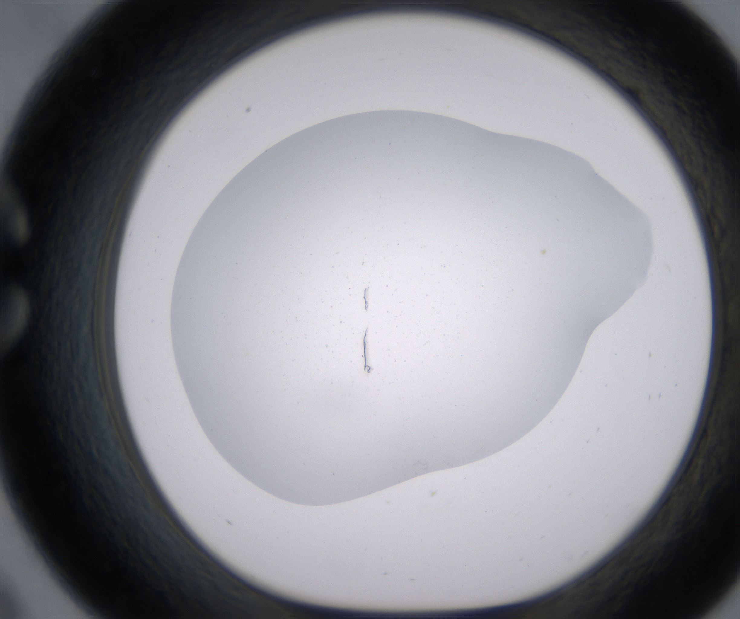 C9_HighResolution_Clear_1.jpg