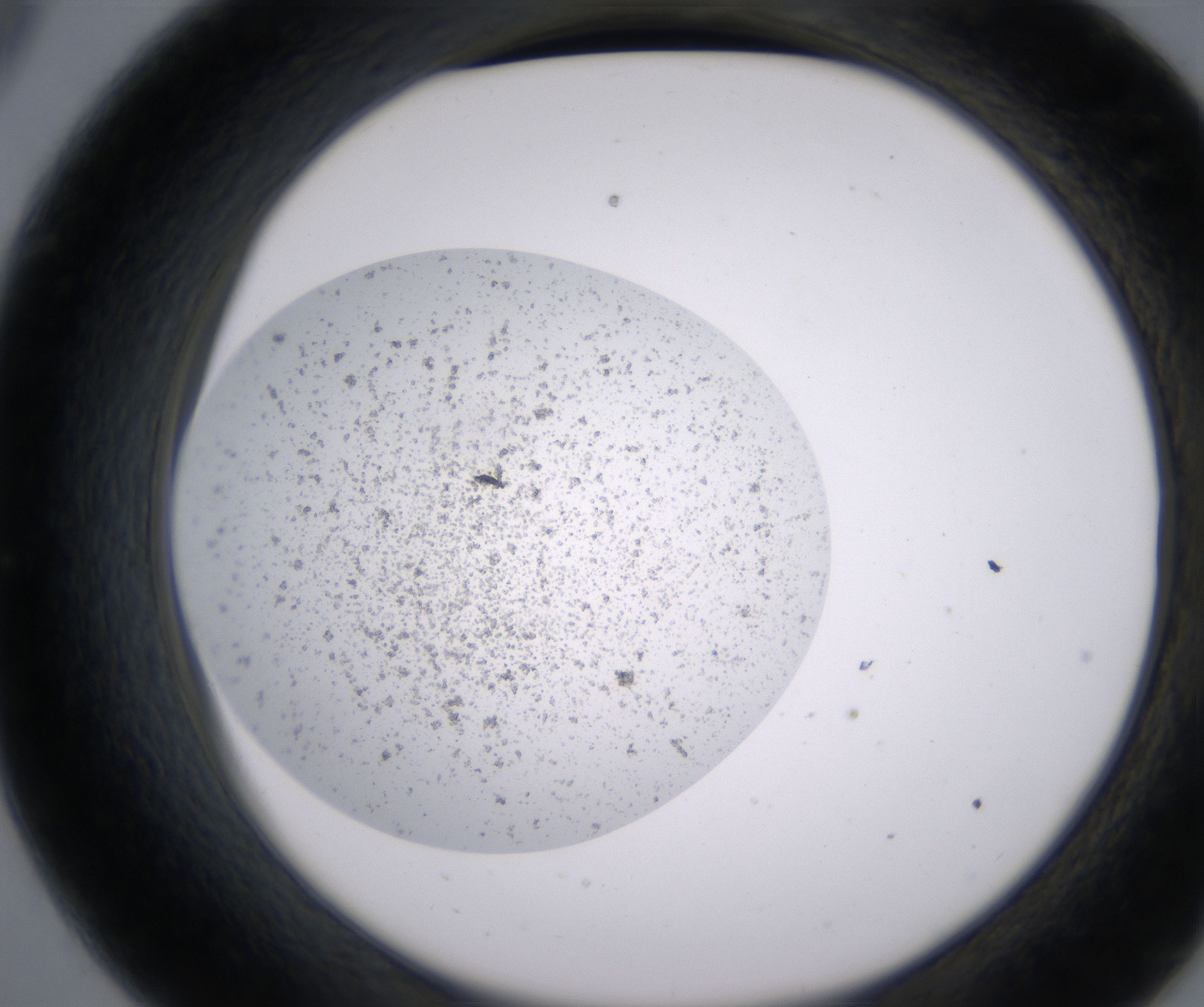 C9_HighResolution_Precipitate_2.jpg