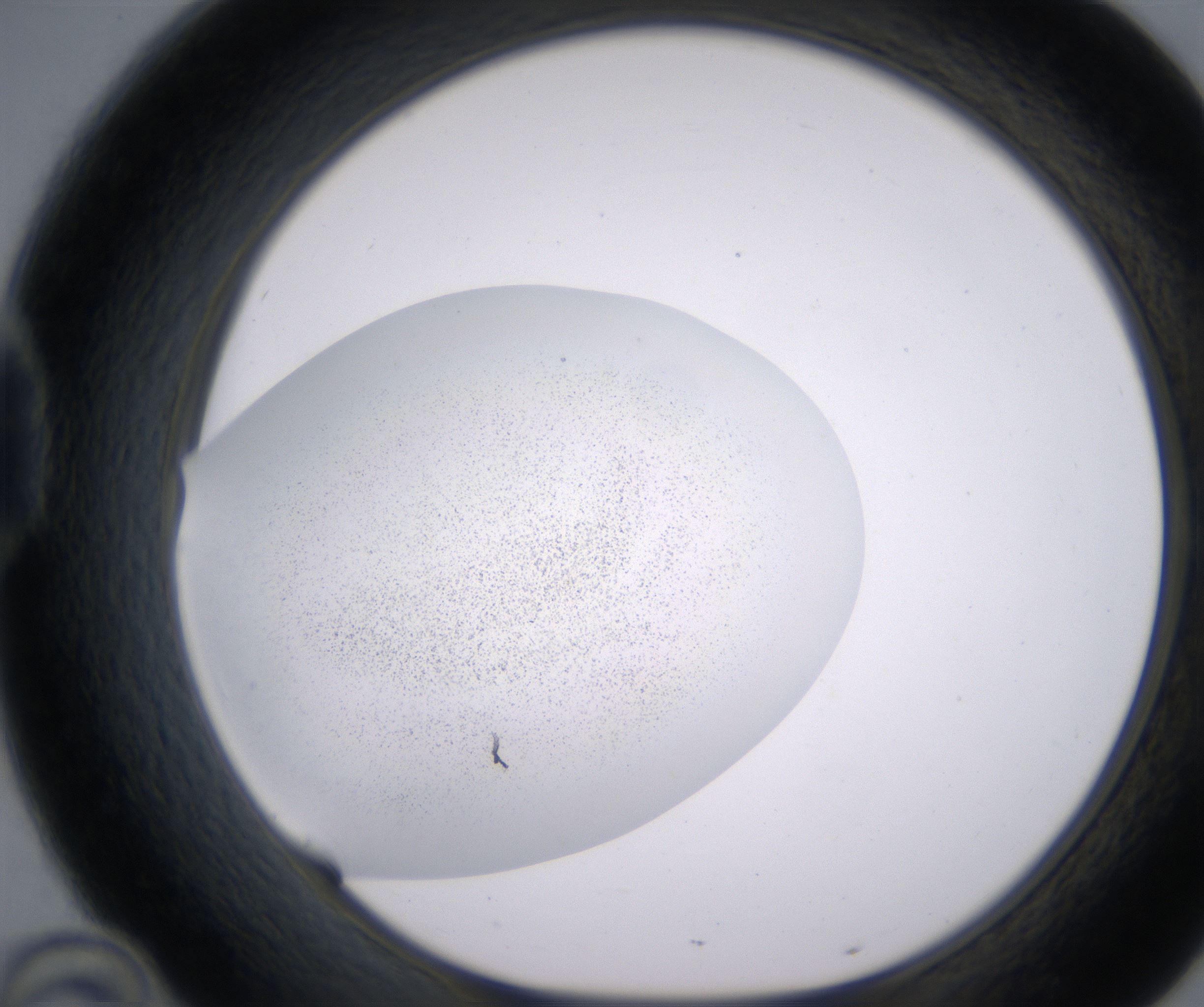 D10_HighResolution_Clear_1.jpg
