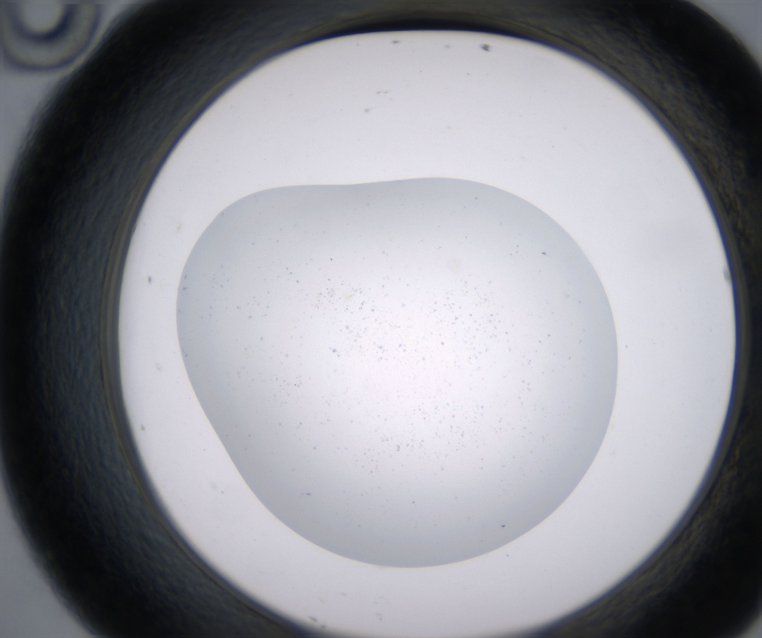 D10_HighResolution_Precipitate_2.jpg