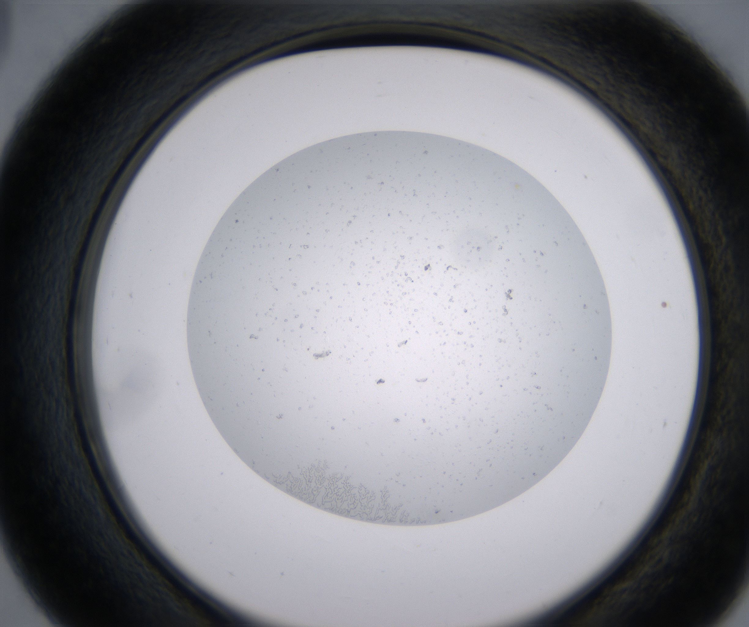 D3_HighResolution_Precipitate_2.jpg