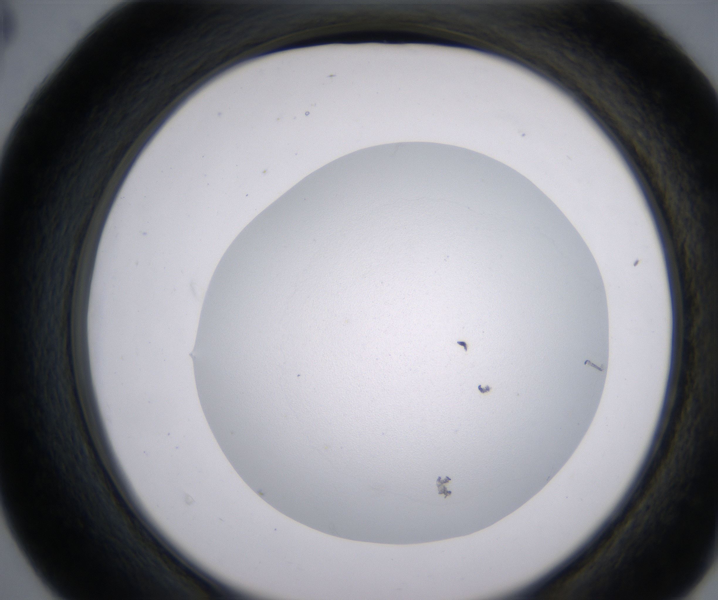 D4_HighResolution_Clear_2.jpg