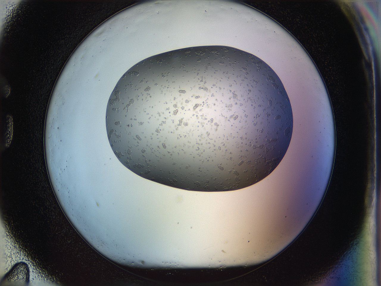 05jm_G11_ImagerDefaults_9.jpg