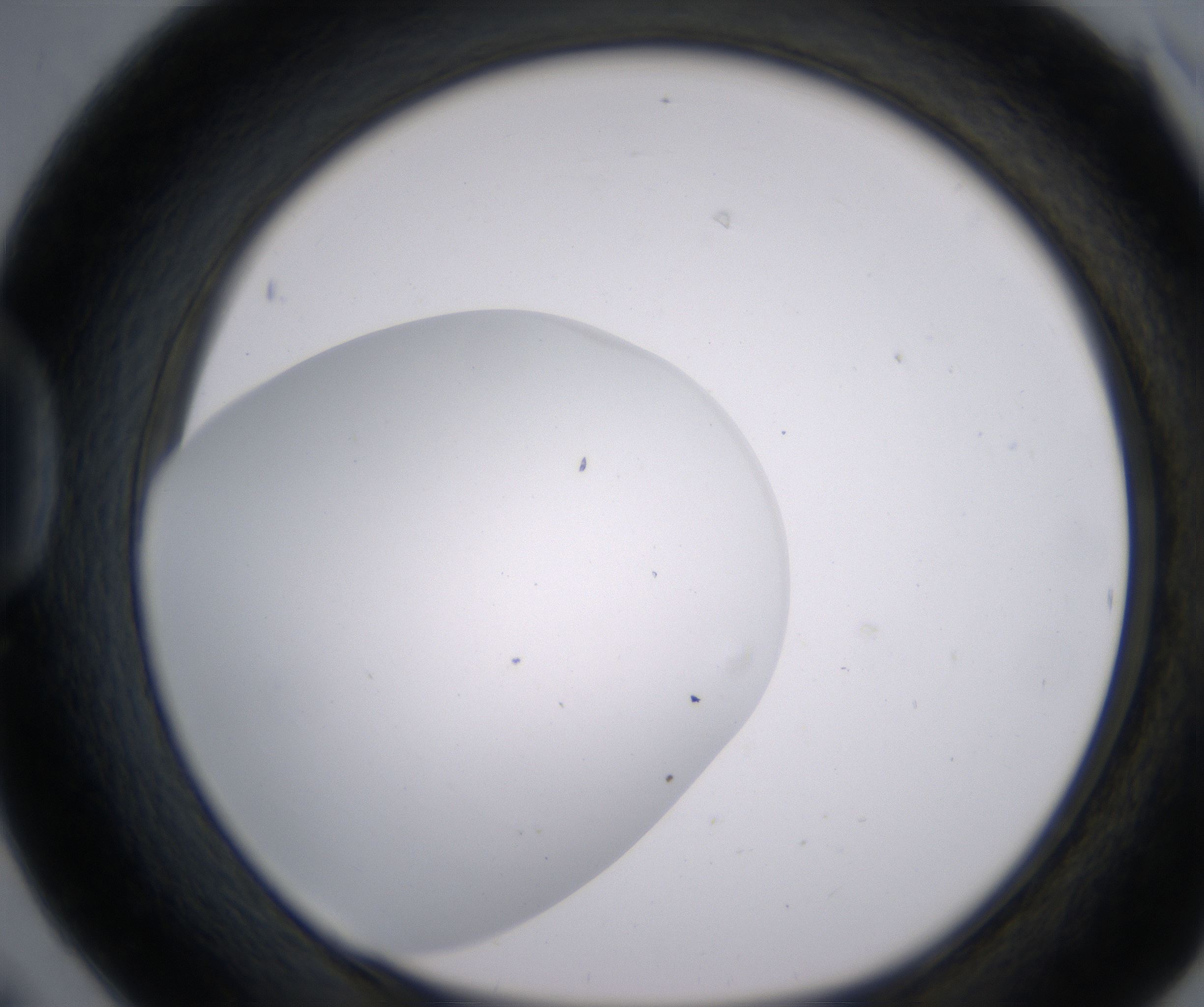 D6_HighResolution_Clear_1.jpg