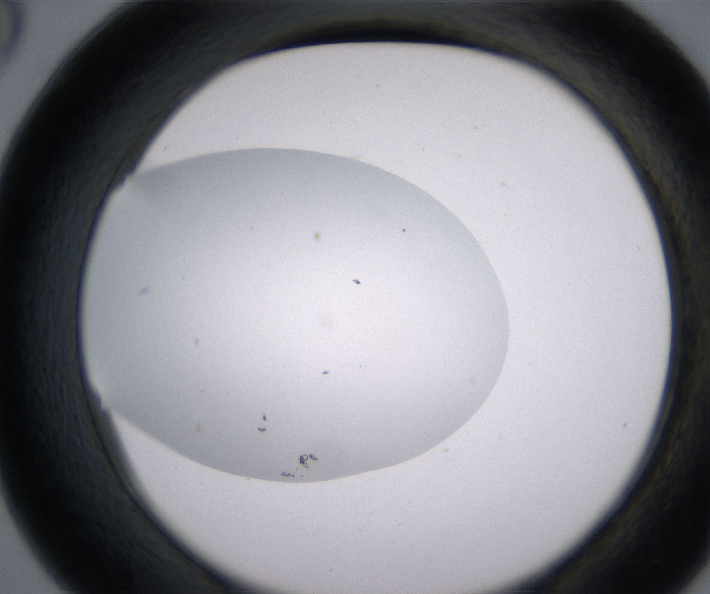 D6_HighResolution_Clear_2.jpg